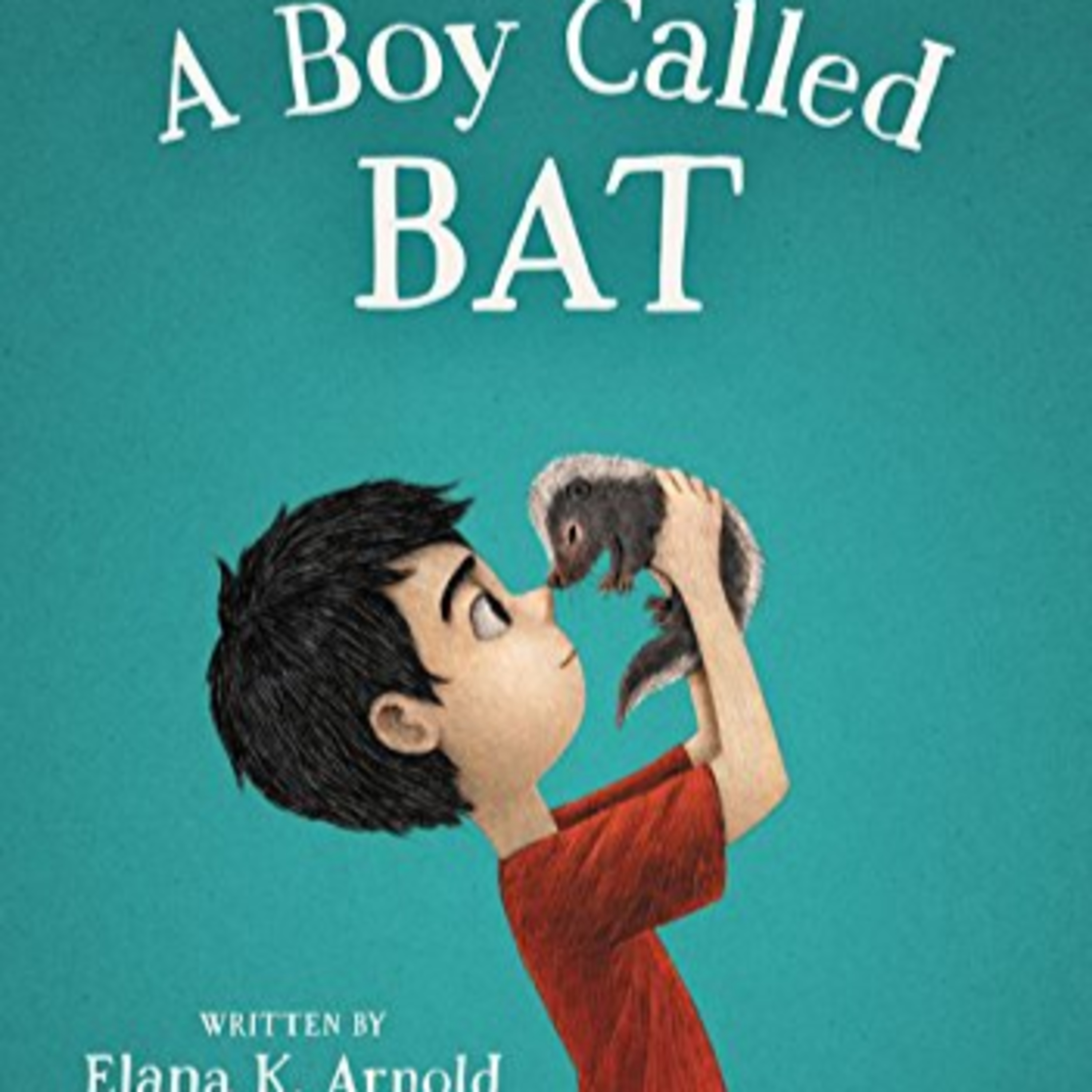 A Boy Called Bat: Chapters 5 and 6 episode artwork