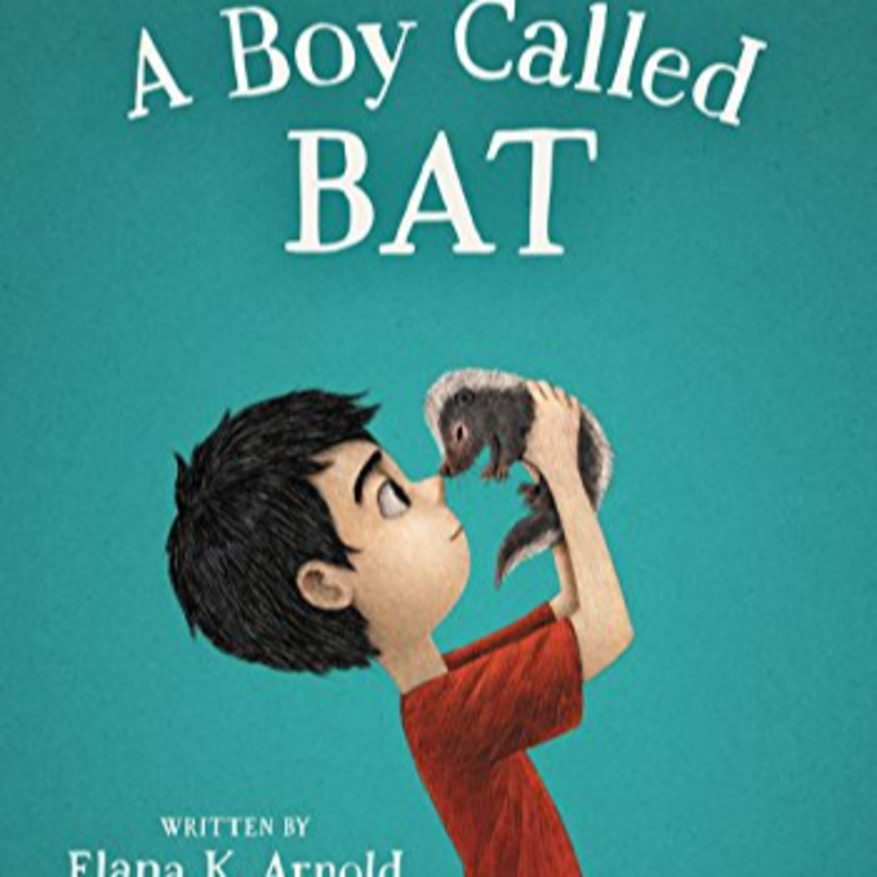A Boy Called Bat: Chapters 11 and 12 episode artwork