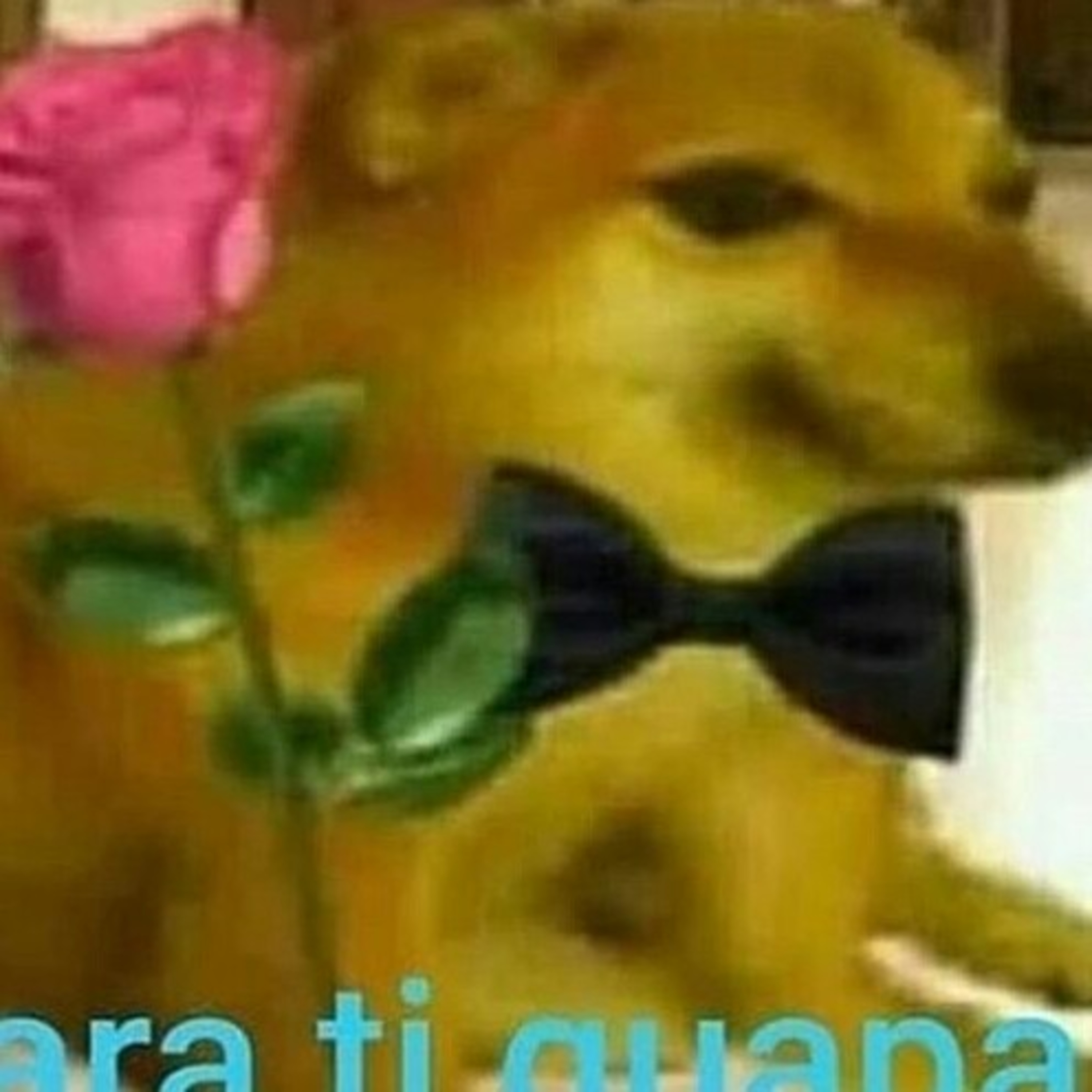 Otro Puto Podcast