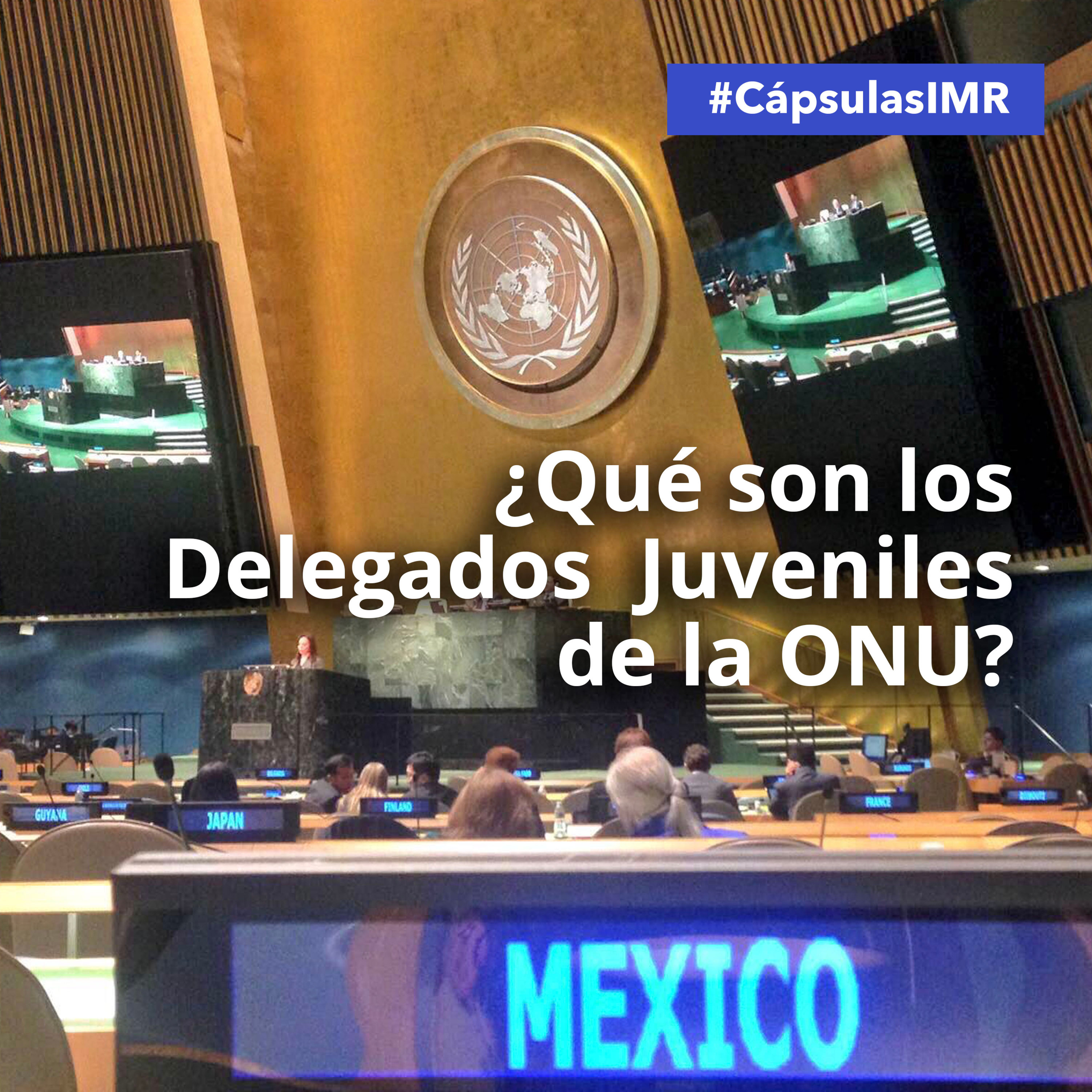 Cápsula IMR ¿Qué son los Delegados Juveniles de la ONU? episode artwork