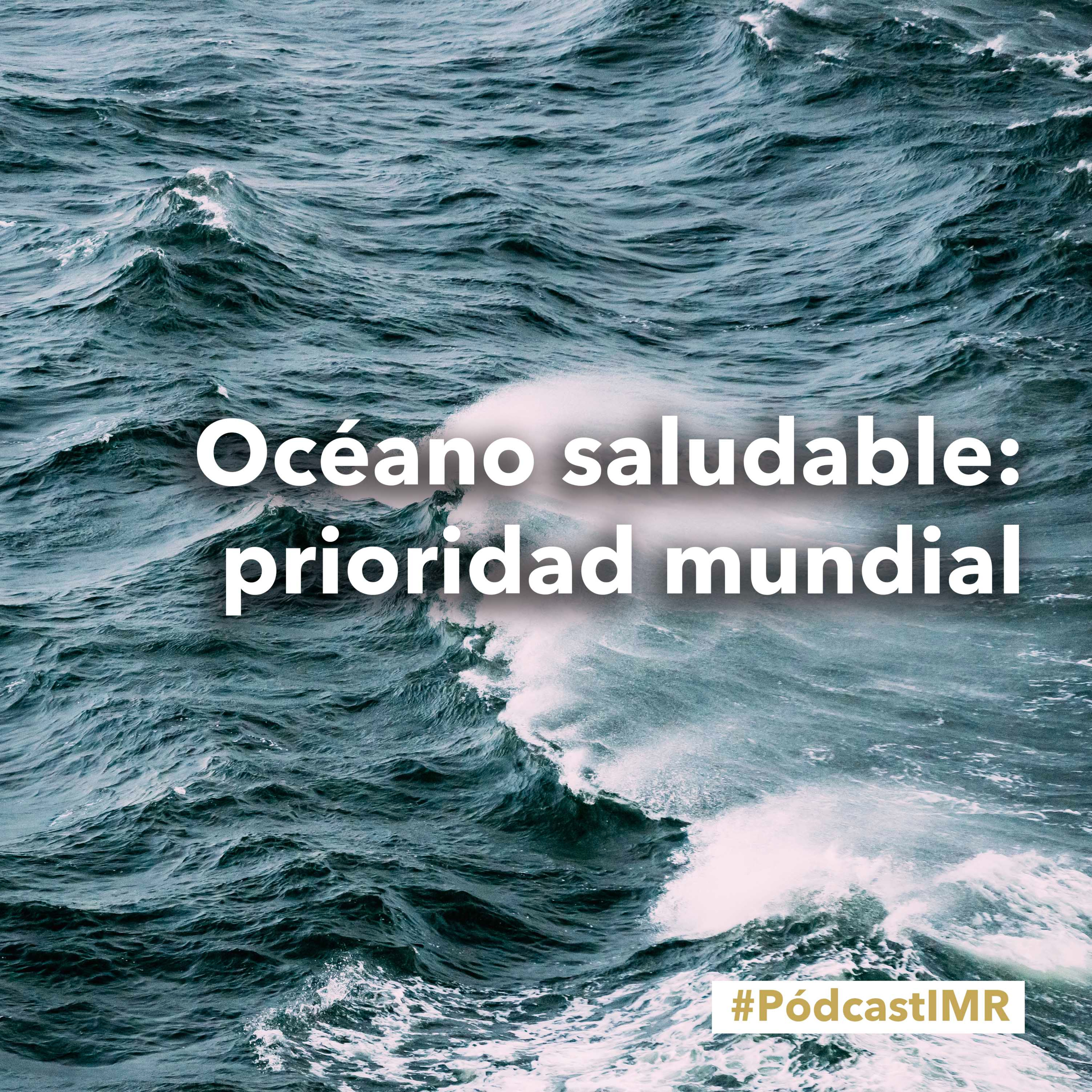 Podcast IMR
