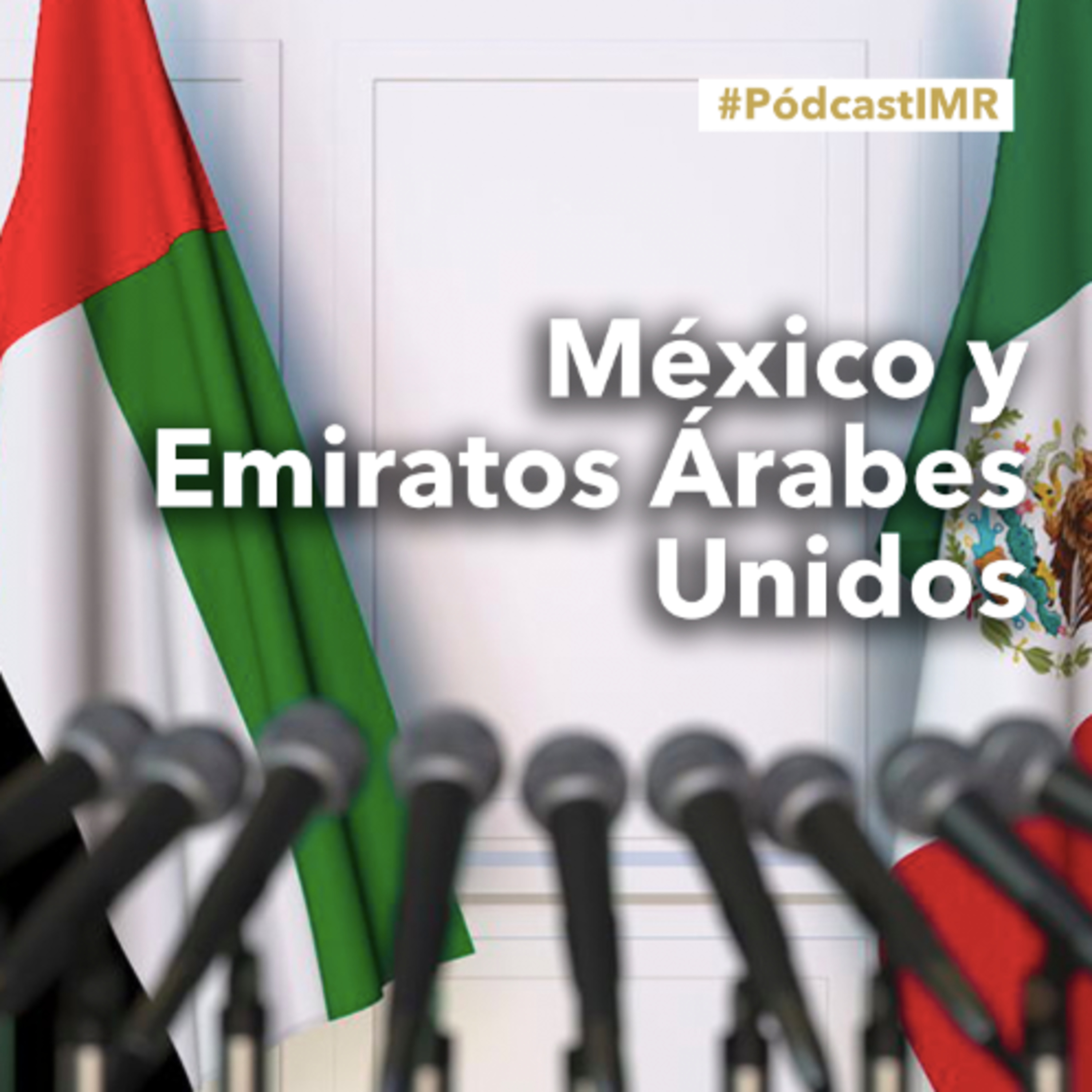 Podcast IMR