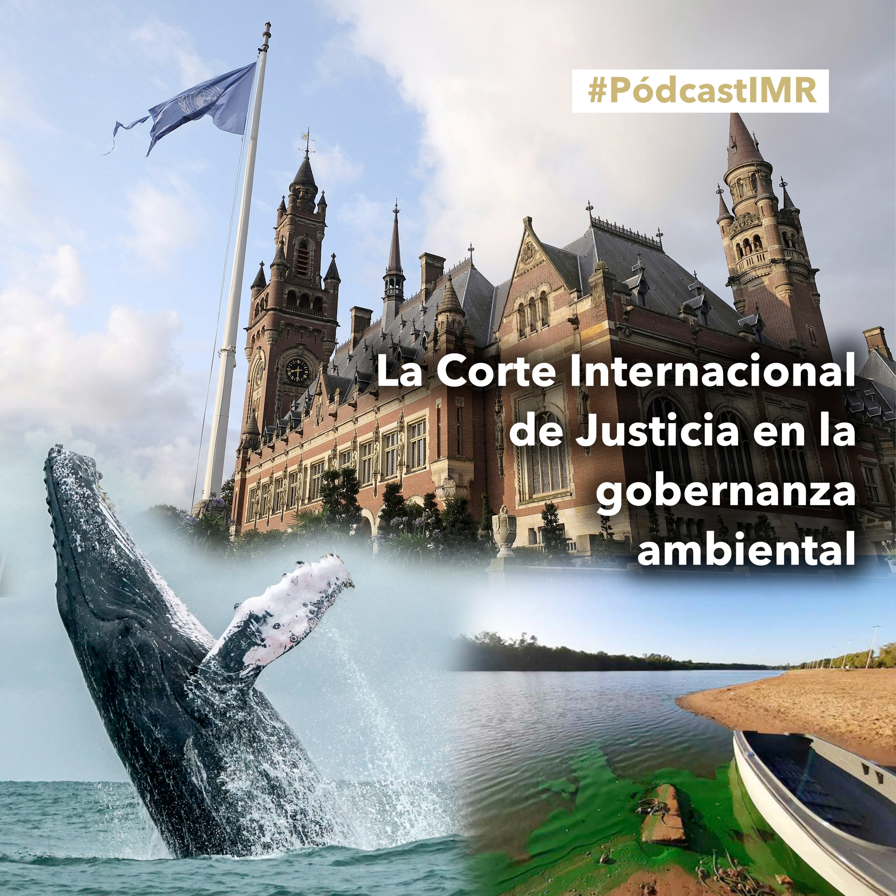 Podcast IMR