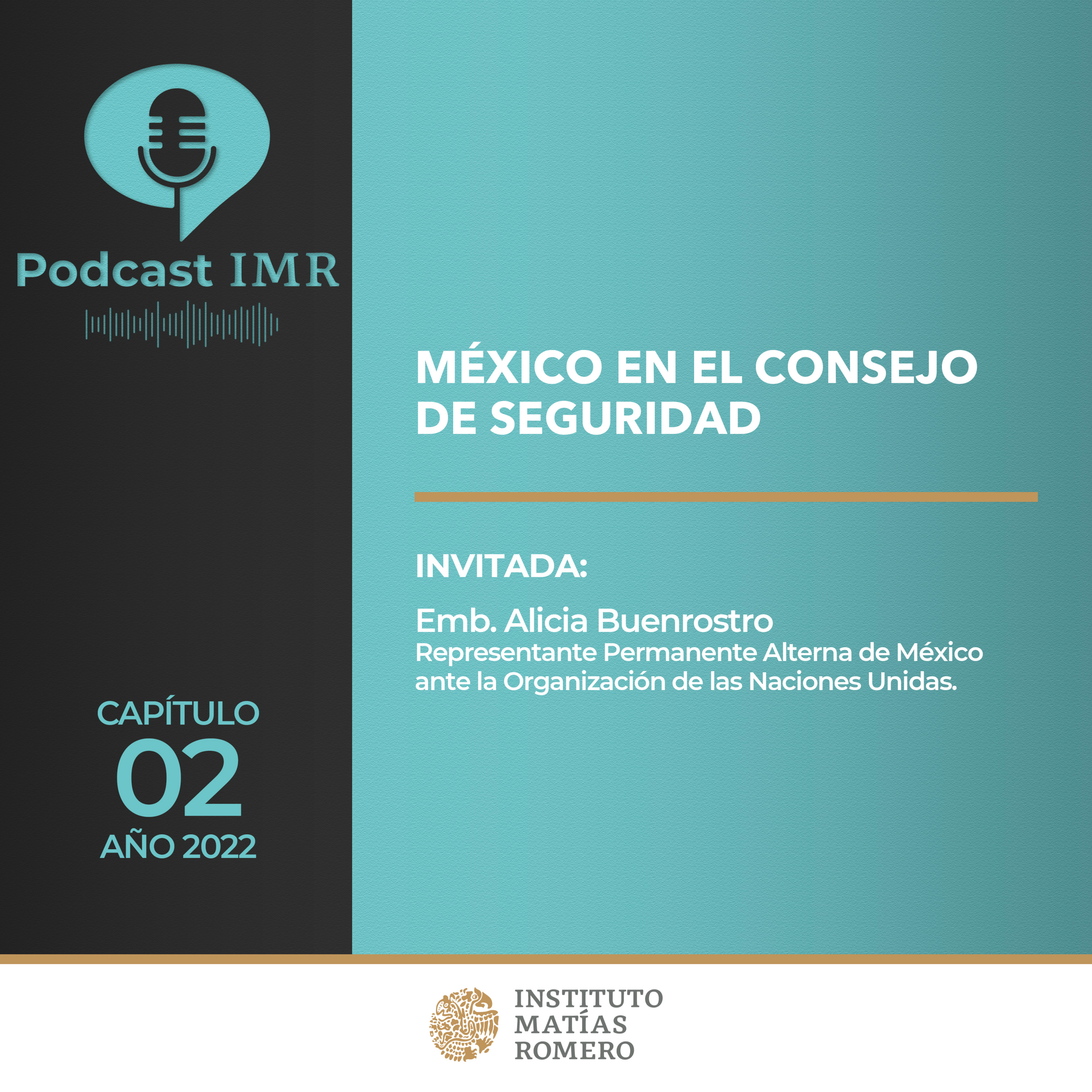 Podcast IMR