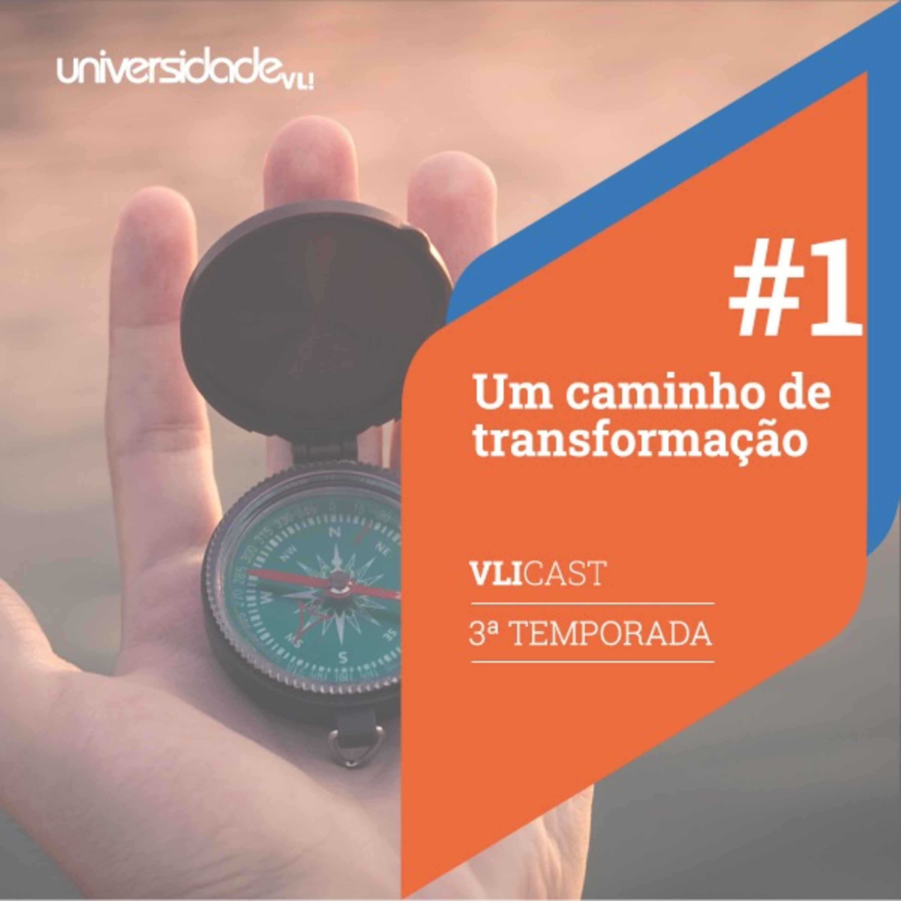 VLICAST