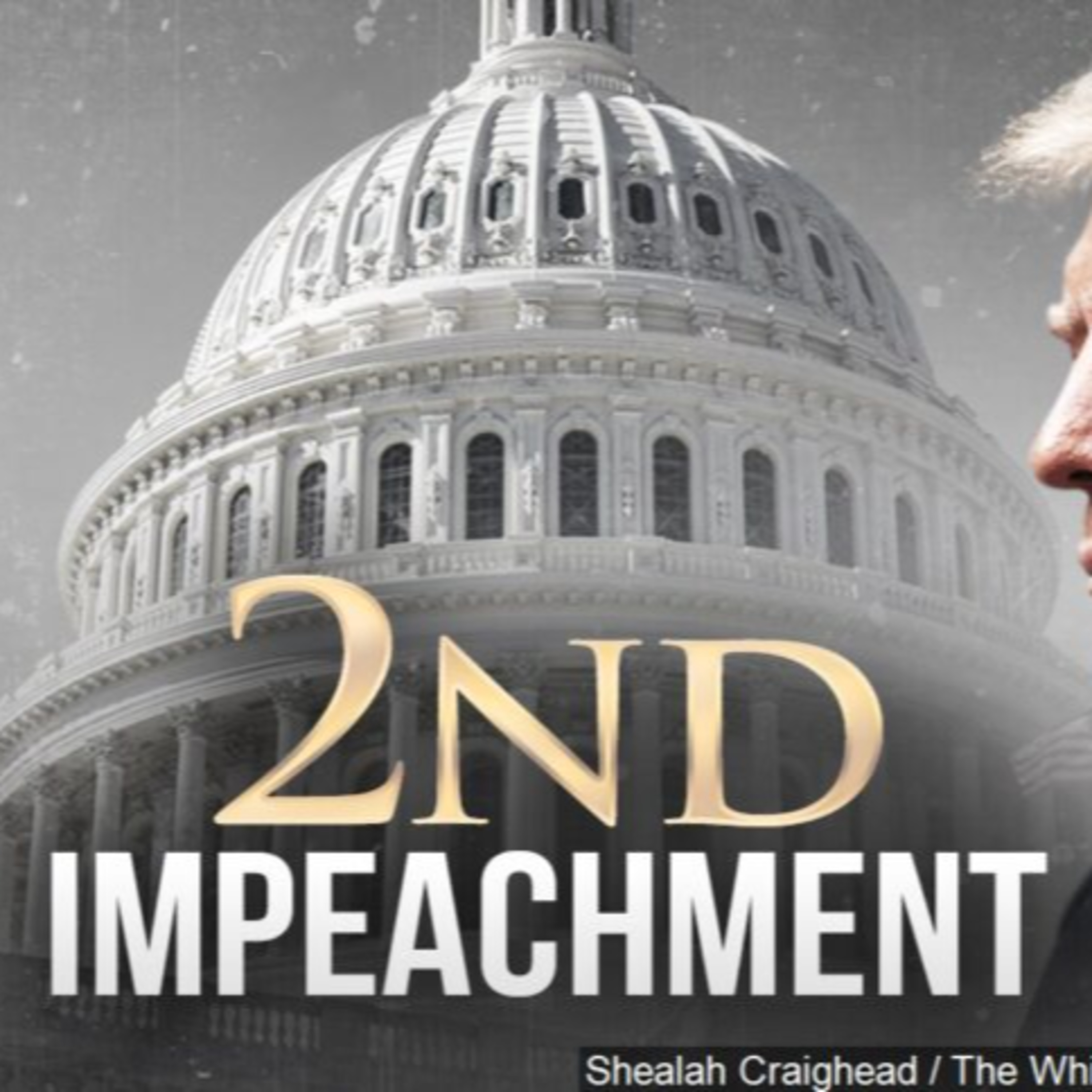 TRUMP GOT IMPEACHED 2X TIMES, BOY BYEEEE! episode artwork