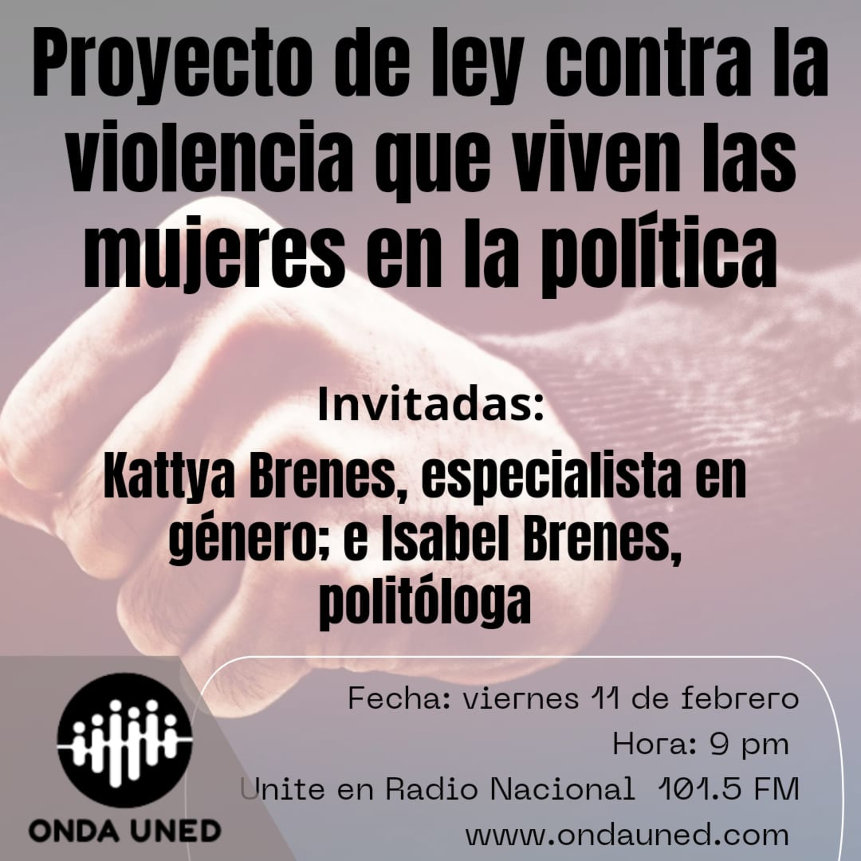 Proyecto de Ley para prevenir, atender, sancionar y erradicar laviolencia contra las mujeres en la política episode artwork