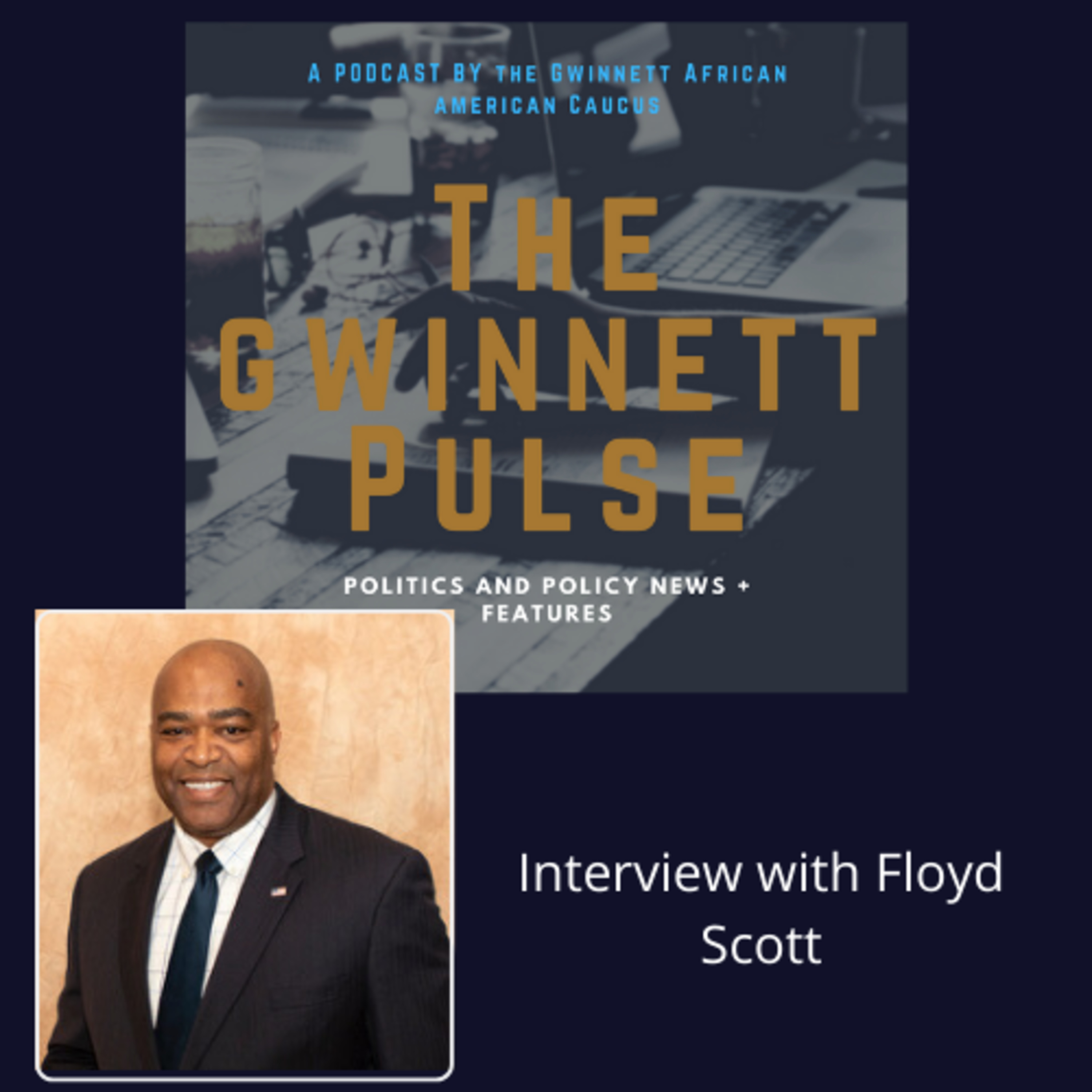 The Gwinnett Pulse