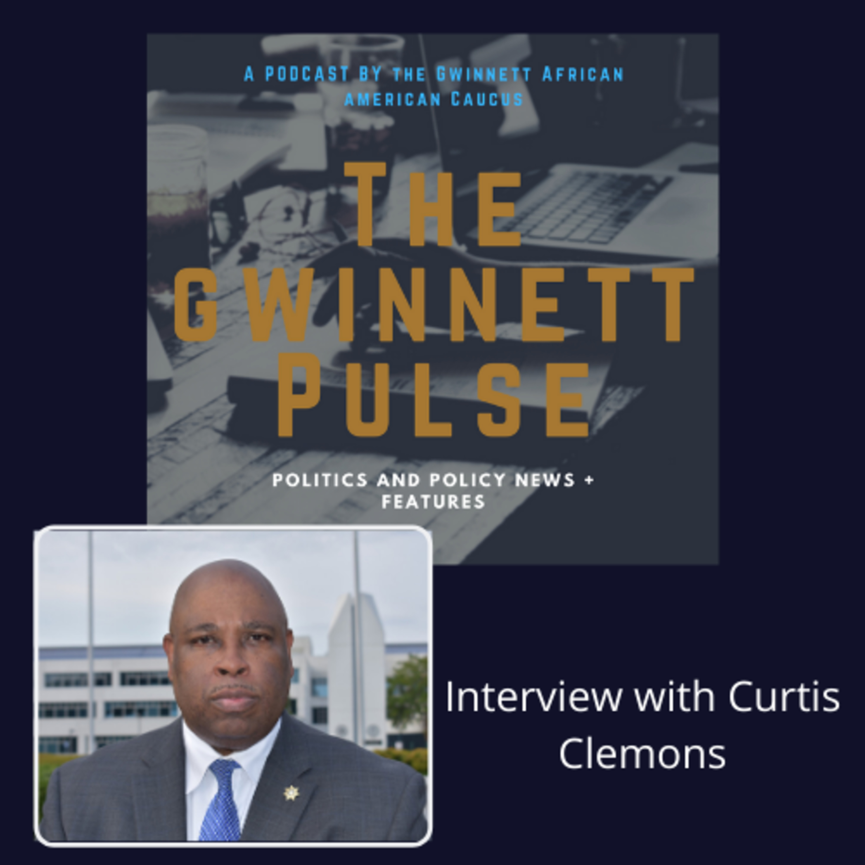 The Gwinnett Pulse