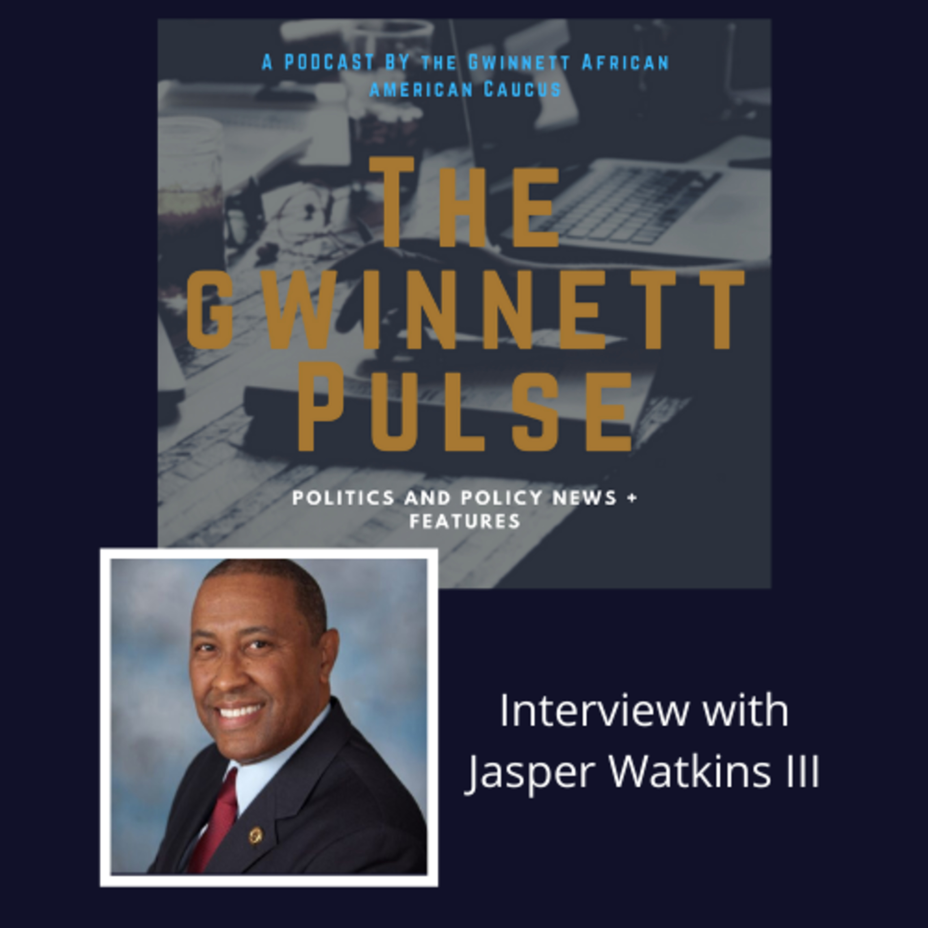 The Gwinnett Pulse