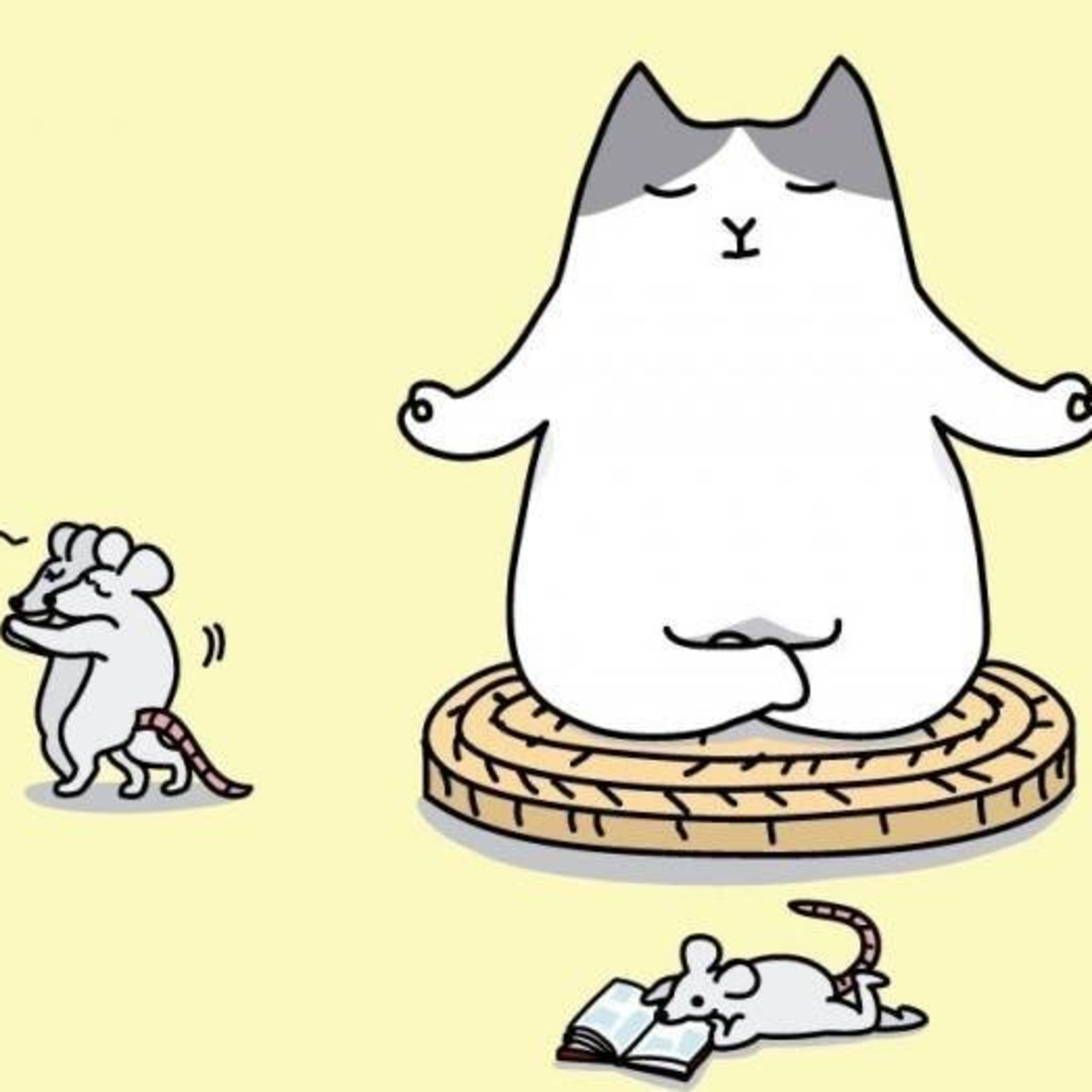Desafío Catfulness episode artwork