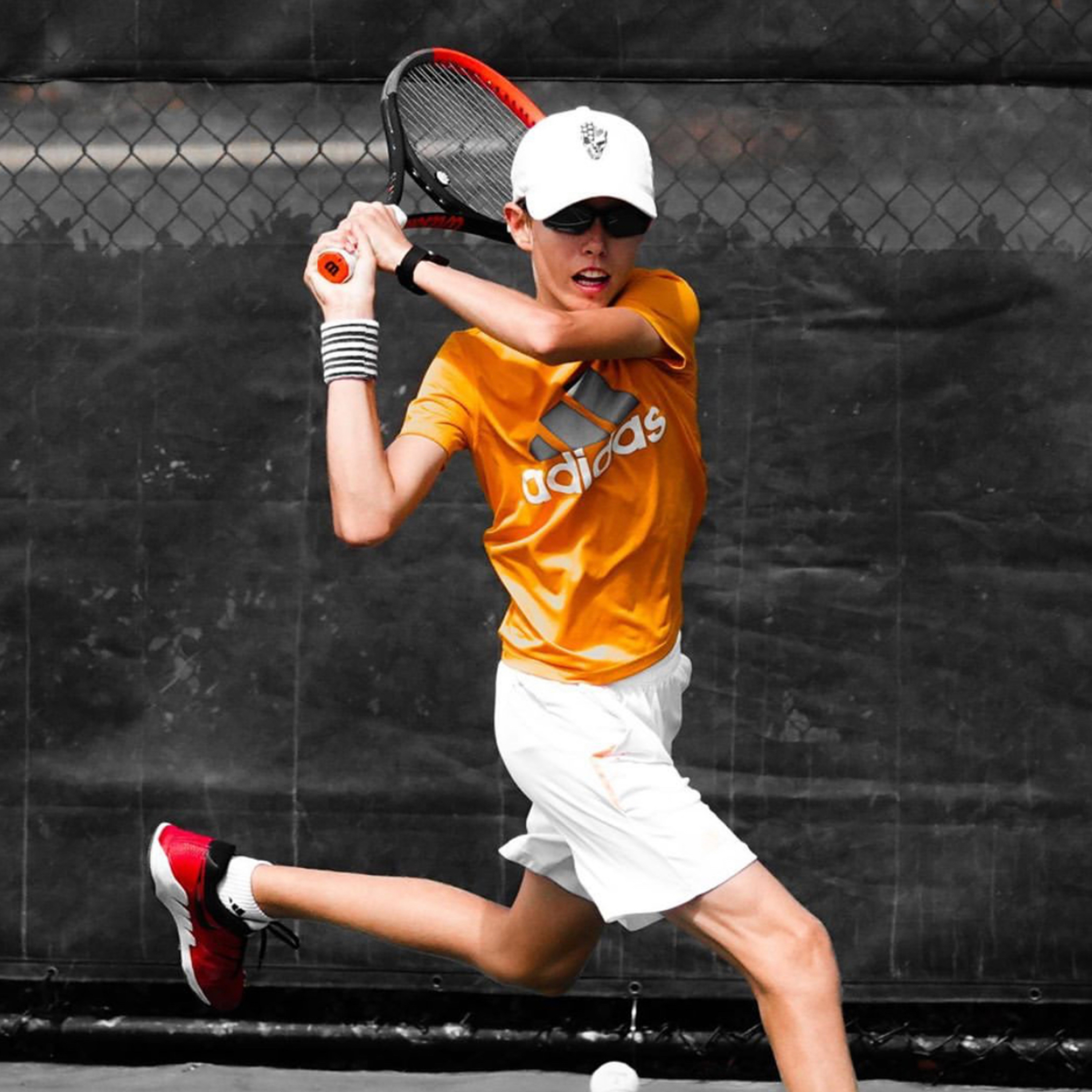 Tennisaurus_Rex