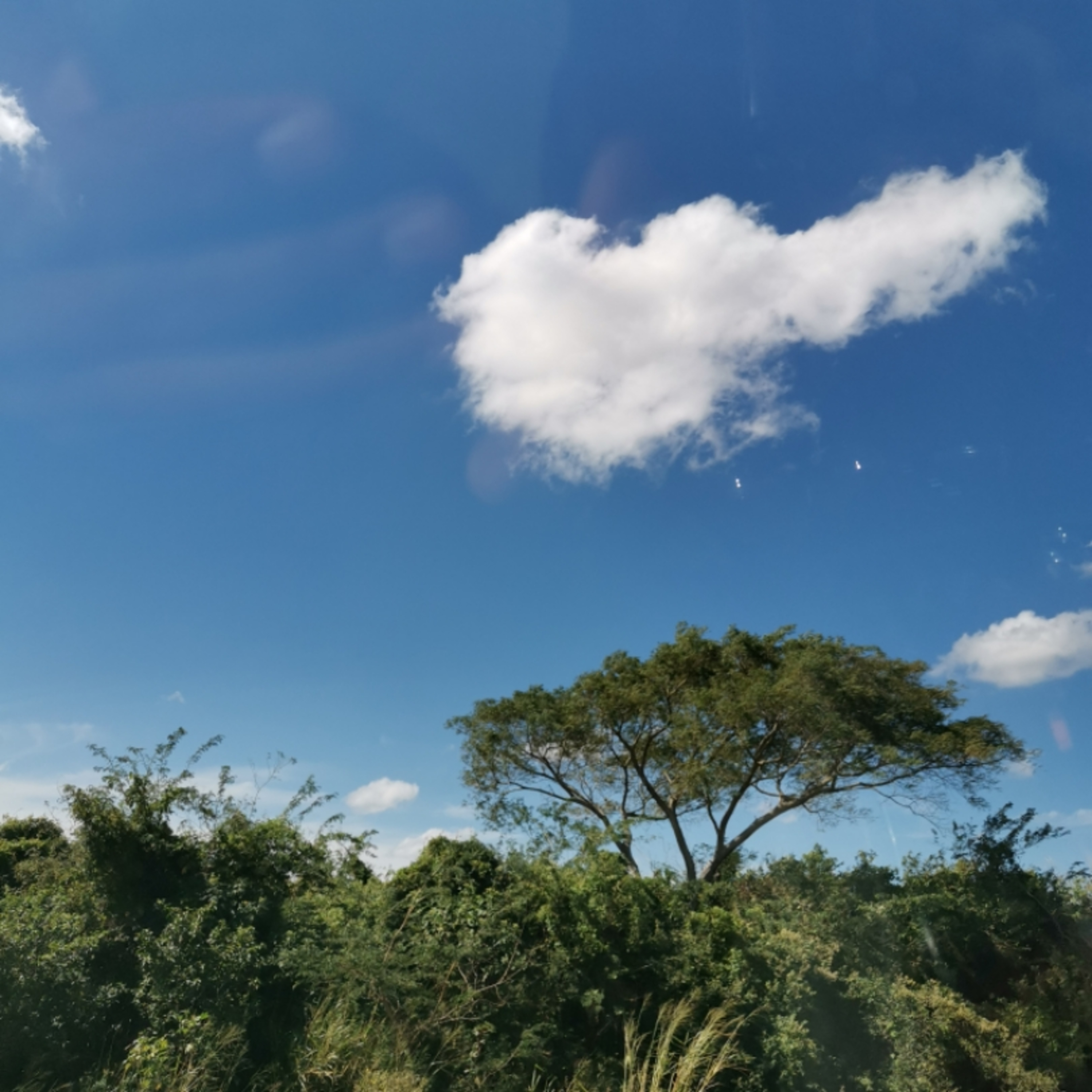 5 Tips En Tiempos De Coronavirus