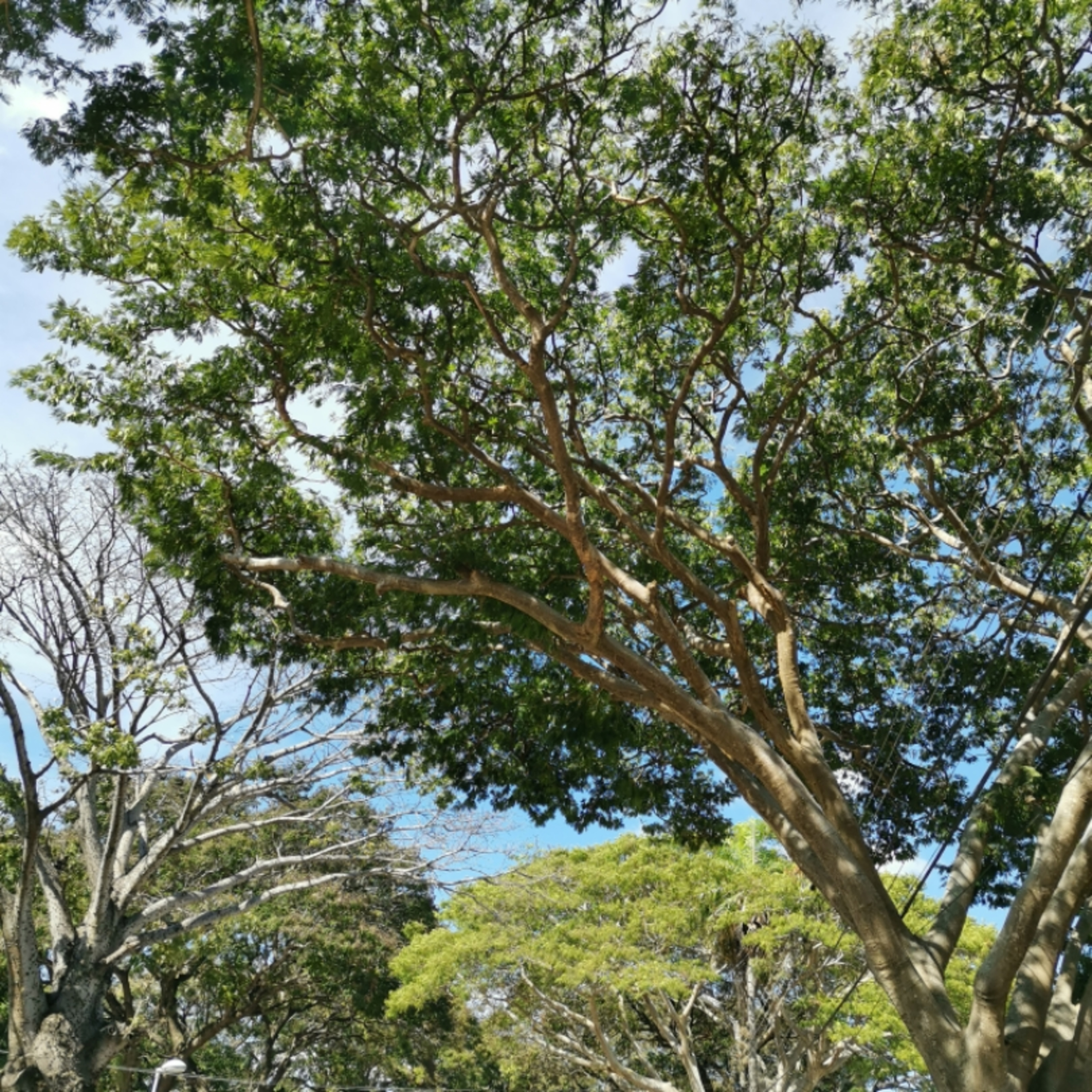 5 Tips En Tiempos De Coronavirus