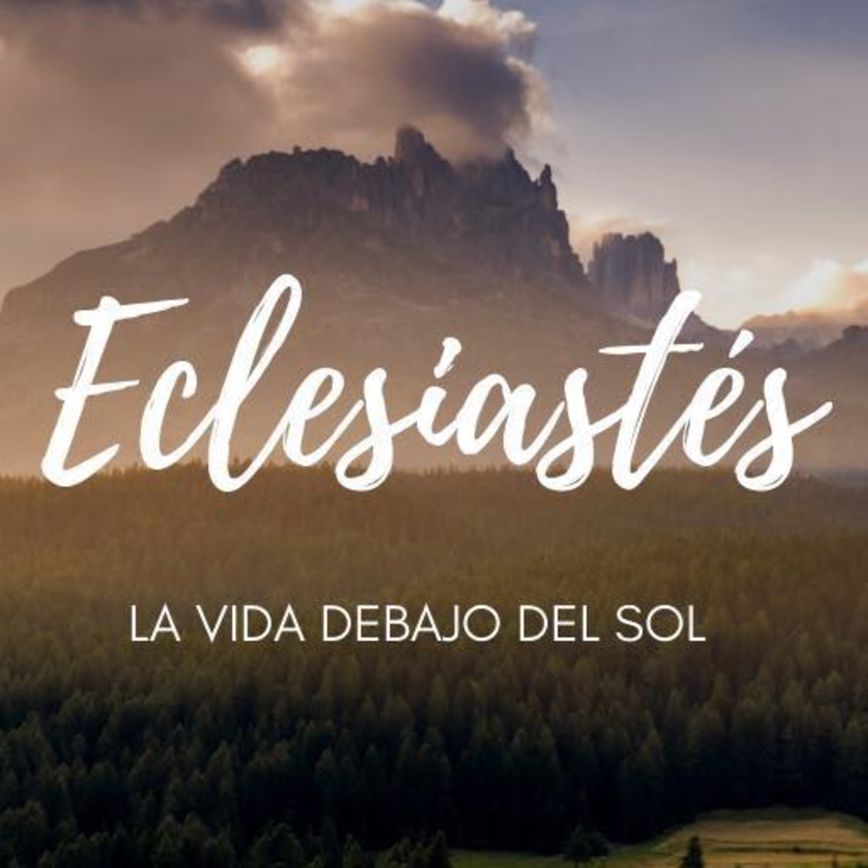 IBEJ Xalapa
