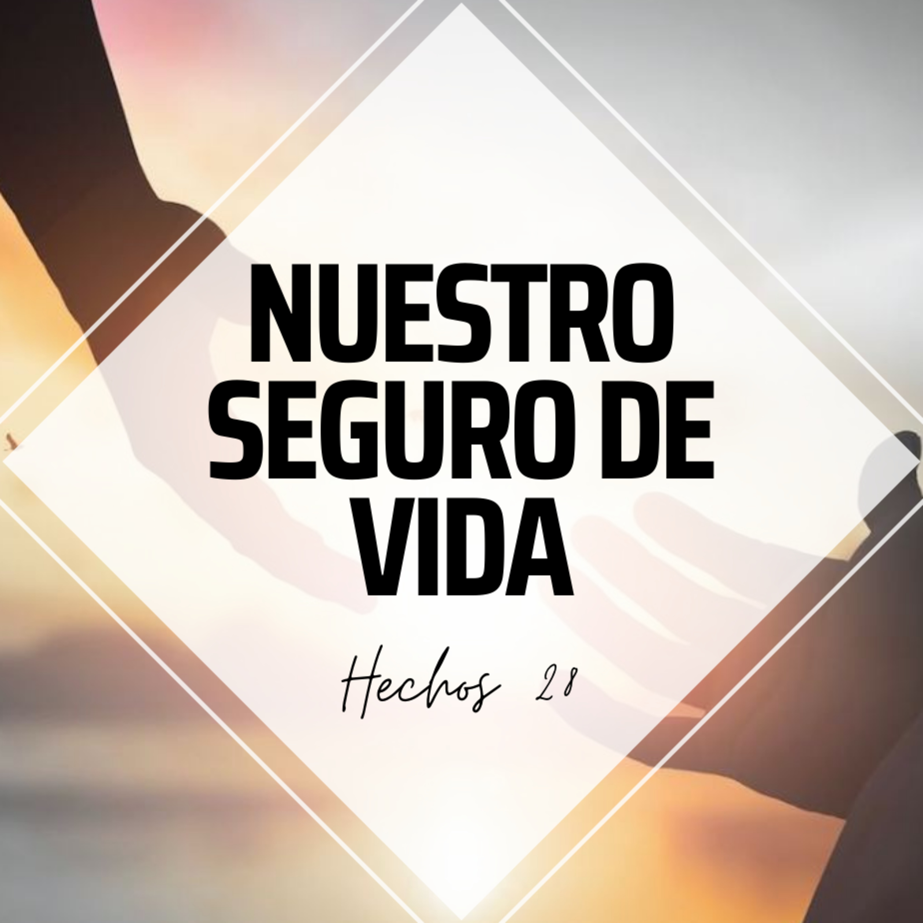 IBEJ Xalapa