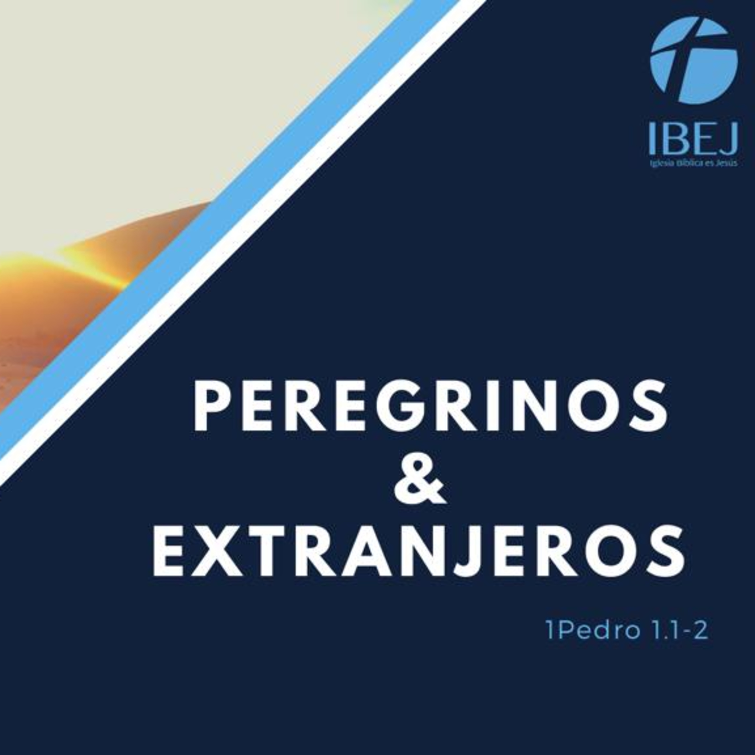 IBEJ Xalapa