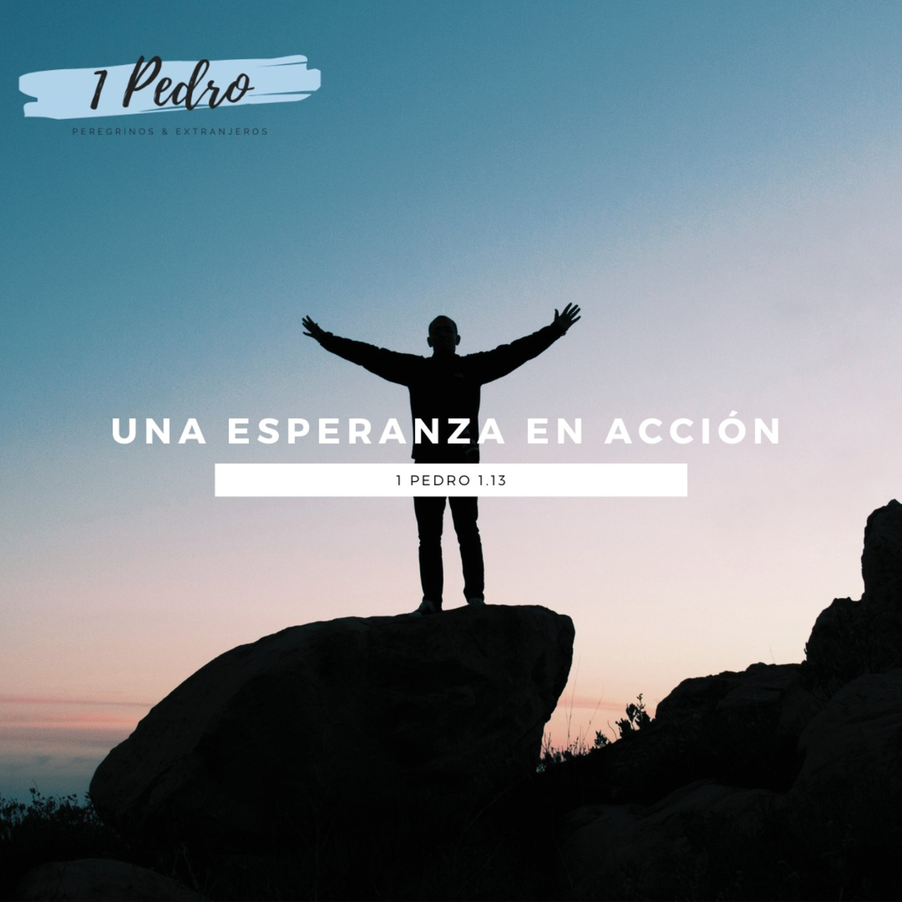 IBEJ Xalapa