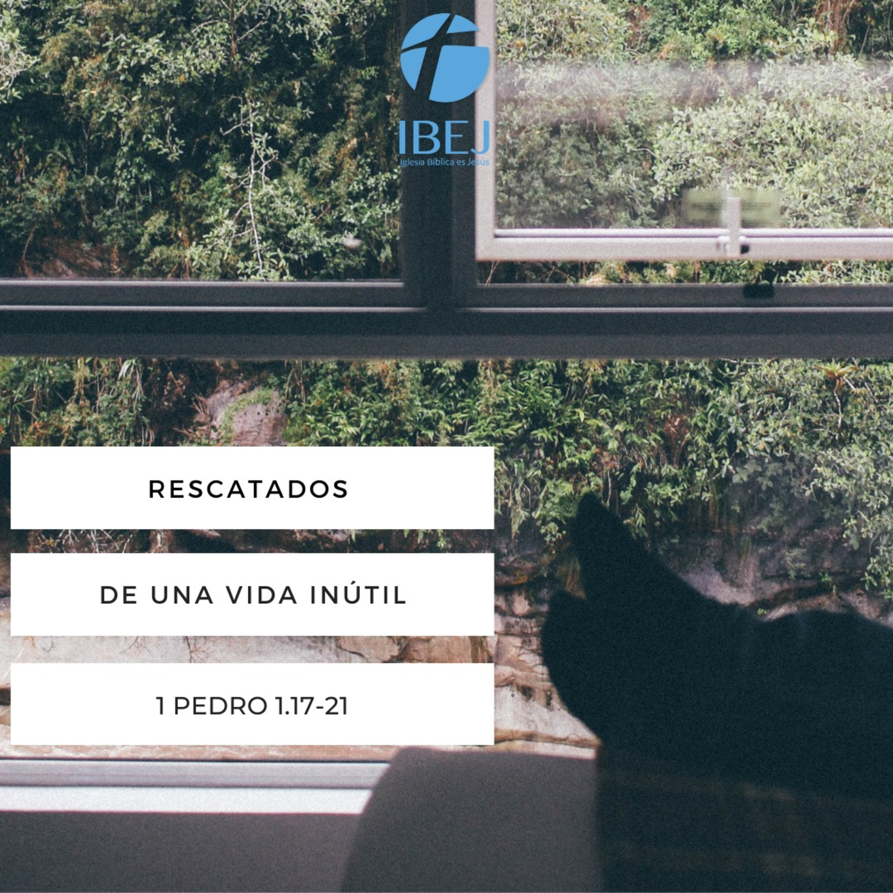 IBEJ Xalapa