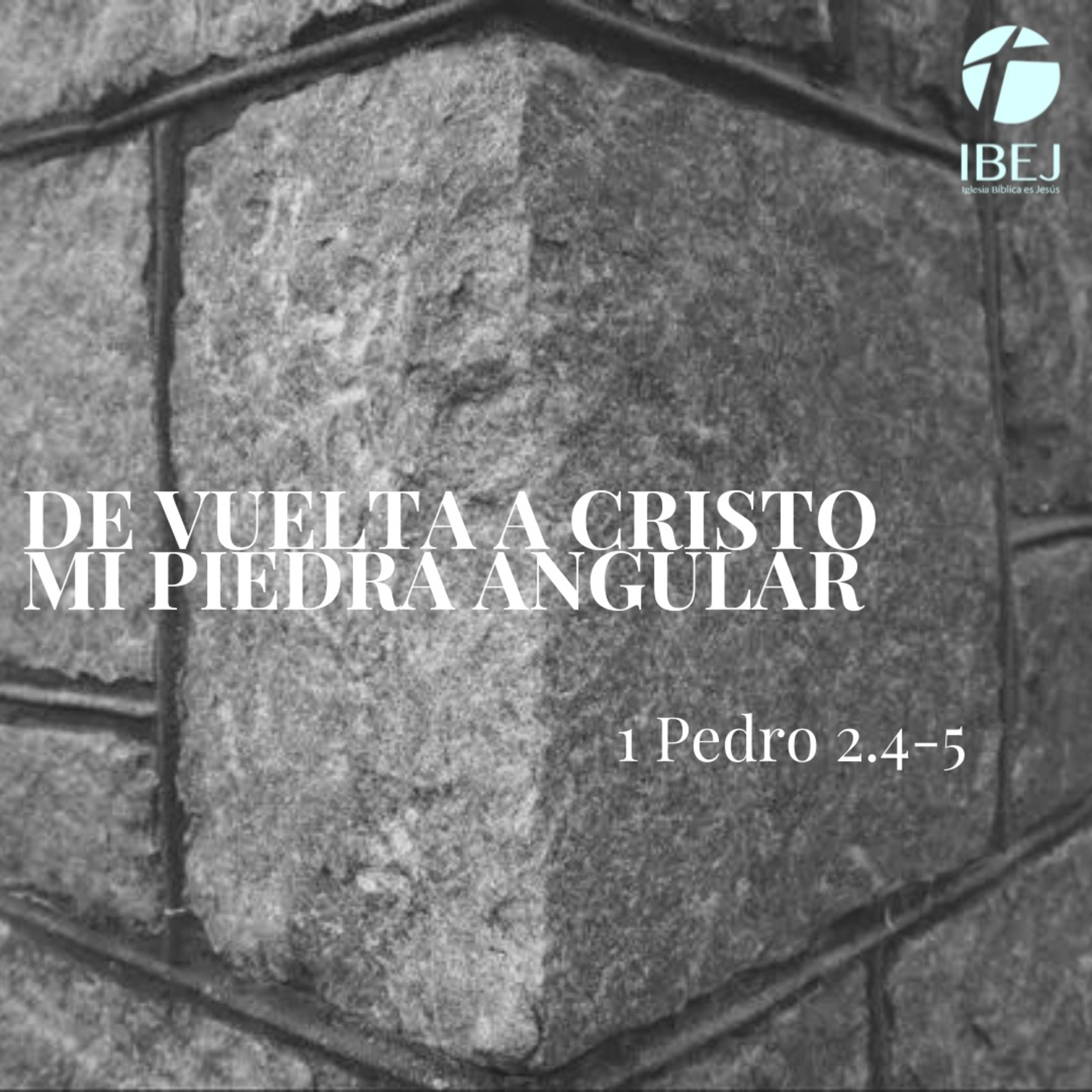 IBEJ Xalapa