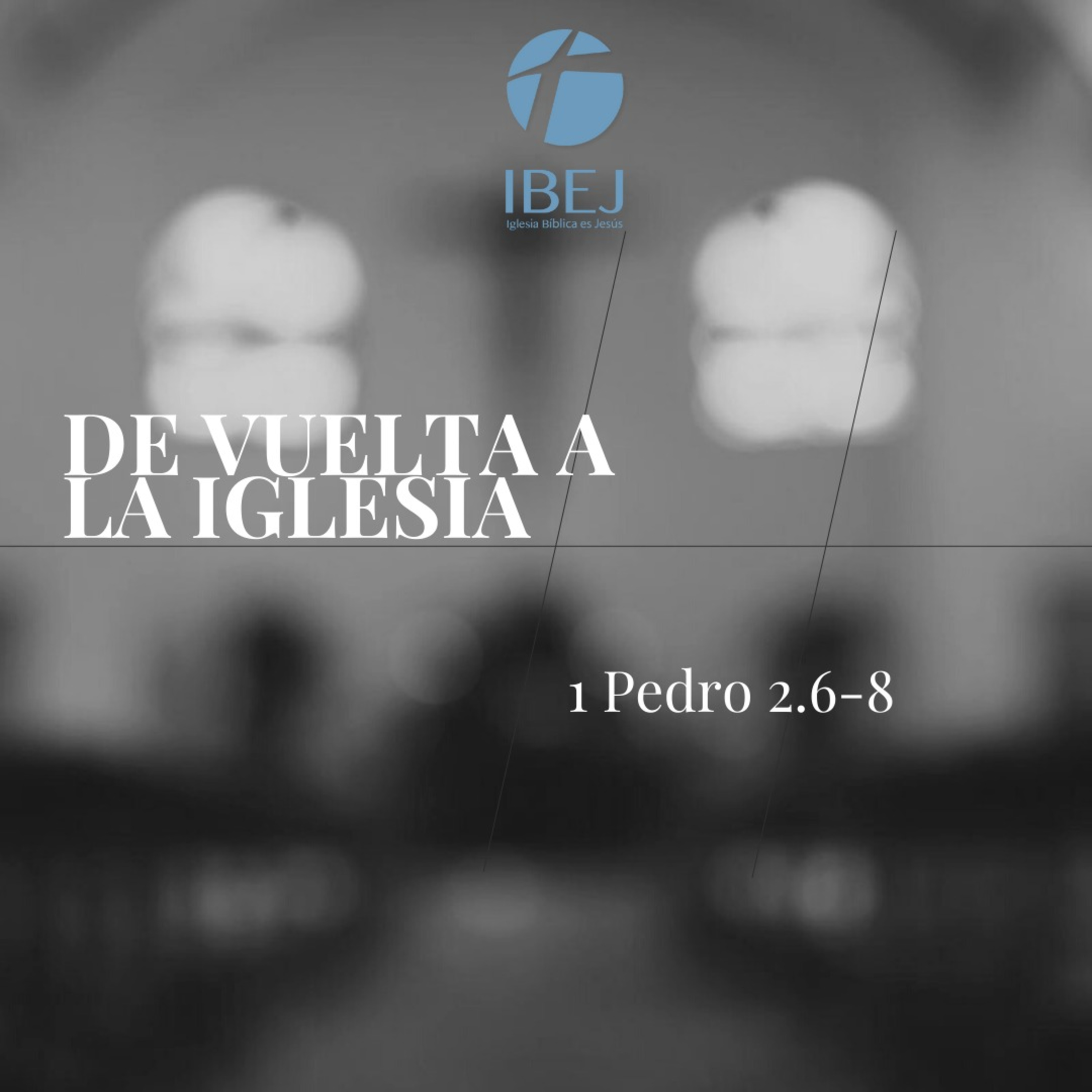 IBEJ Xalapa