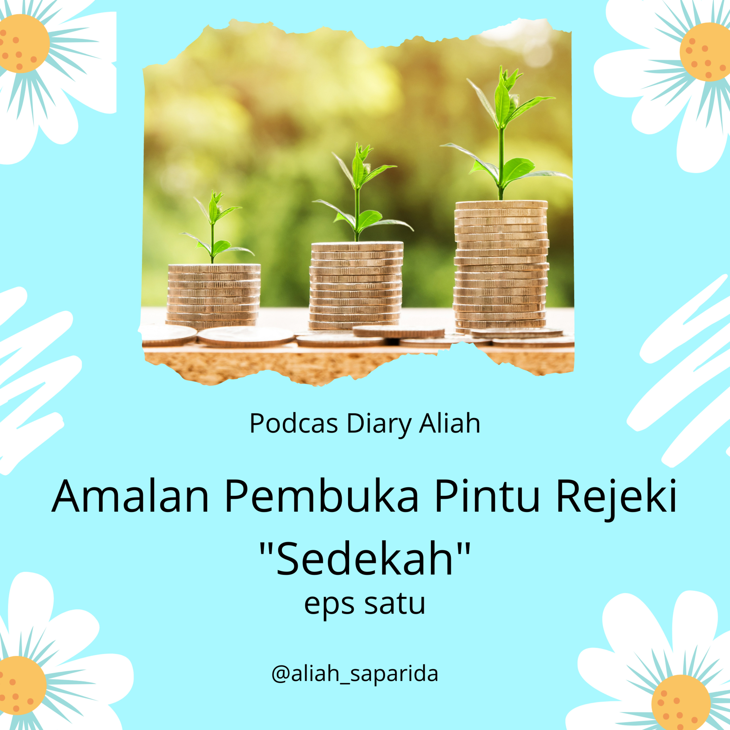 Diary Aliah