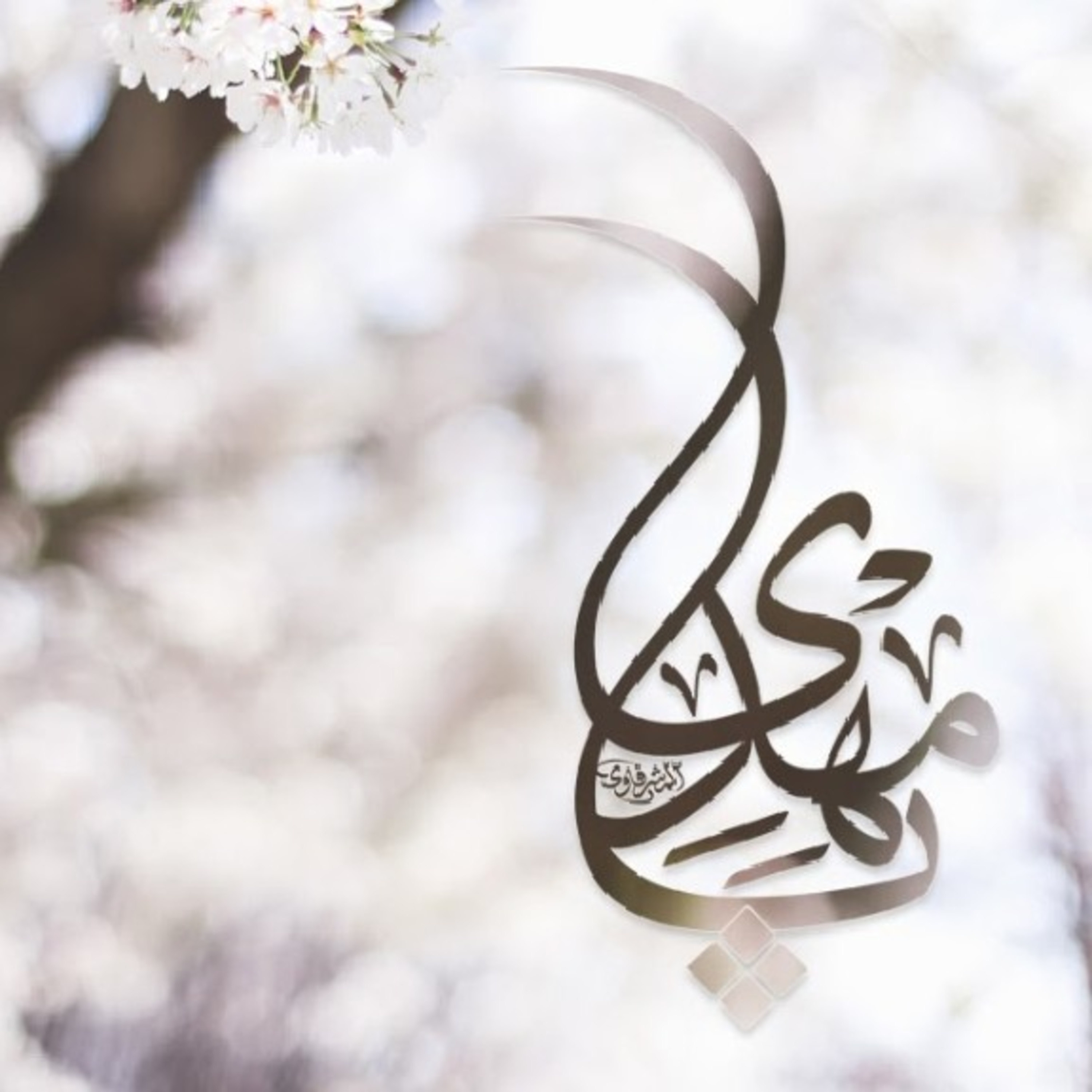 کاور The Divine Promise