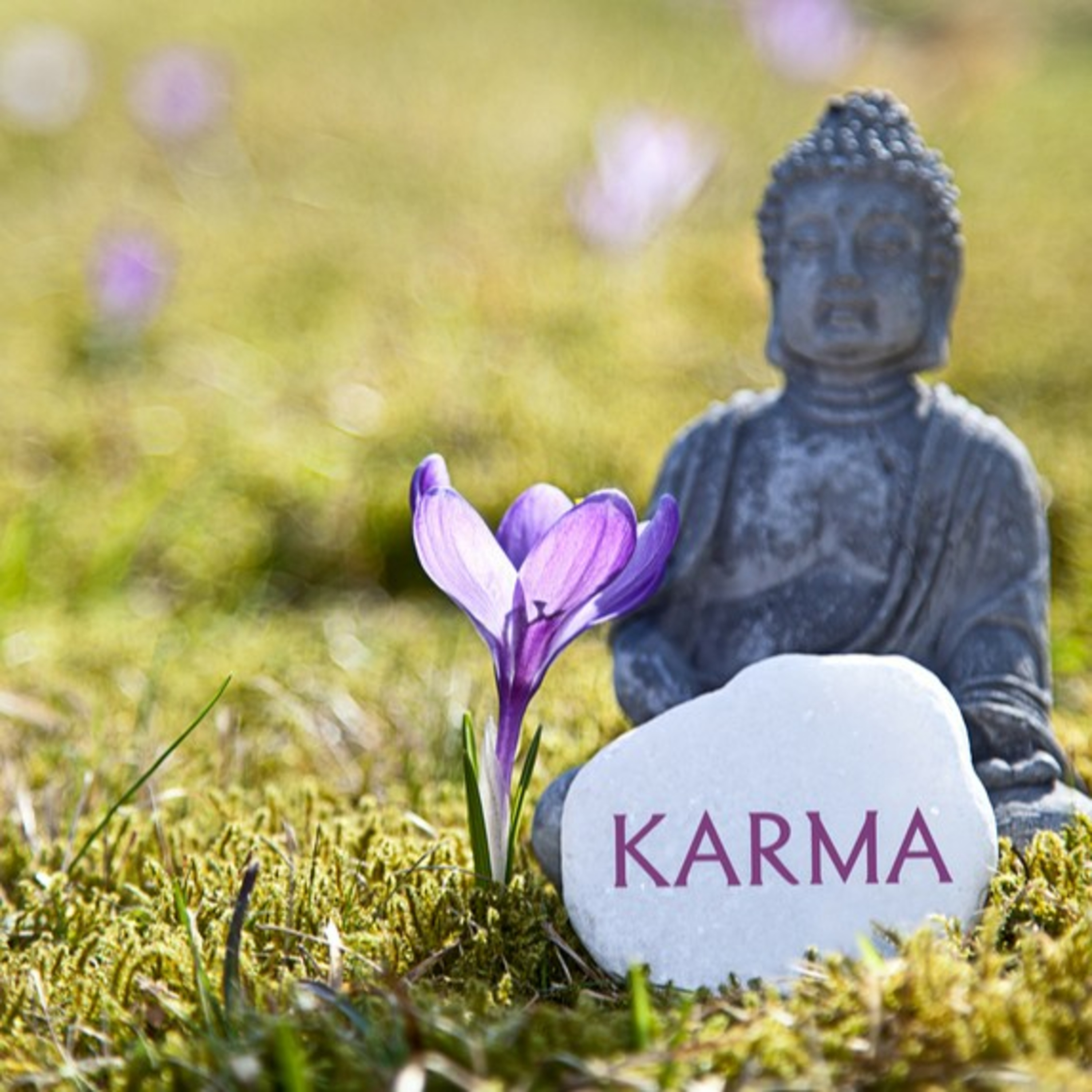 🧹Clearing🧹Karma🧐 episode artwork