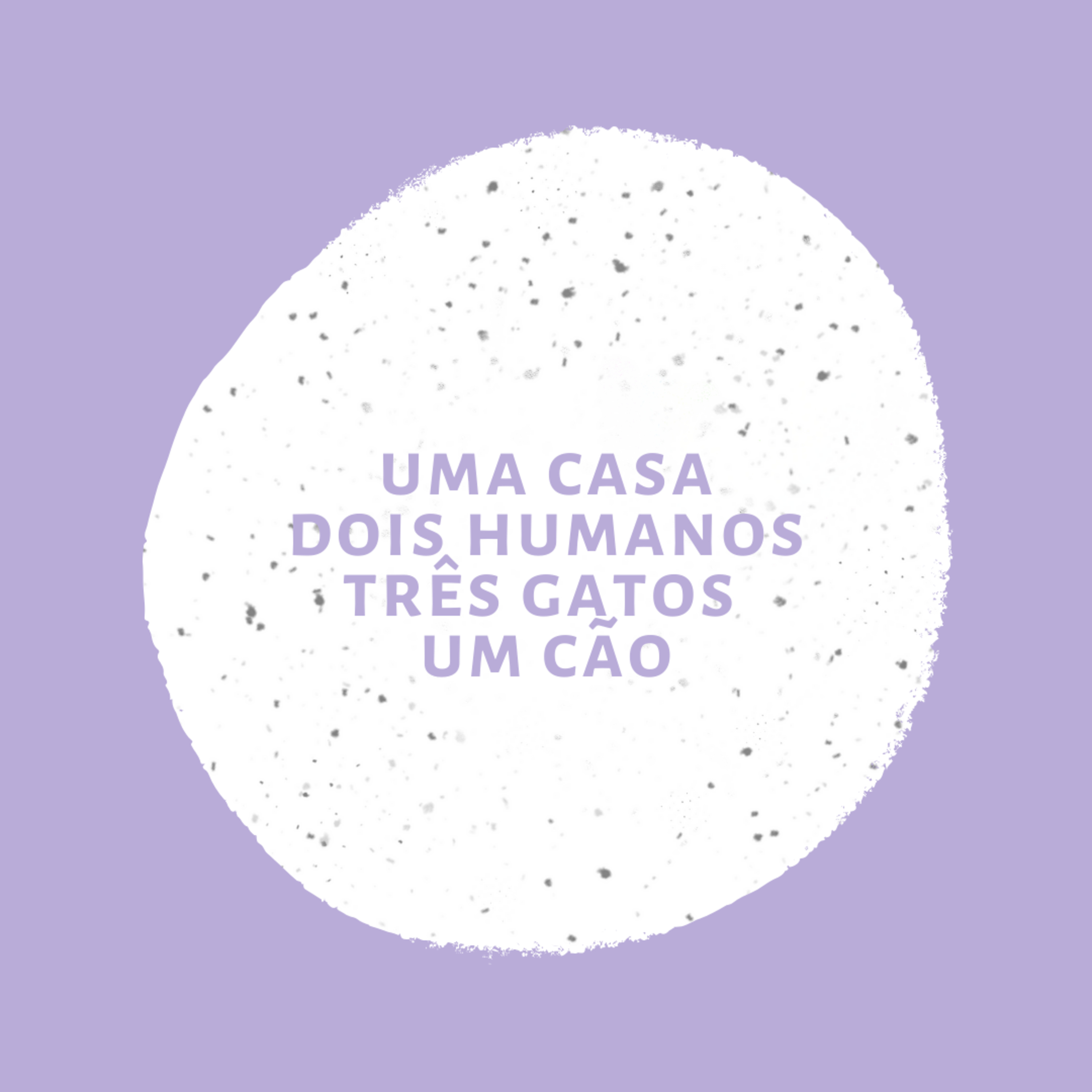 Uma casa com dois humanos,🐱🐱🐱e 🐶 🏡