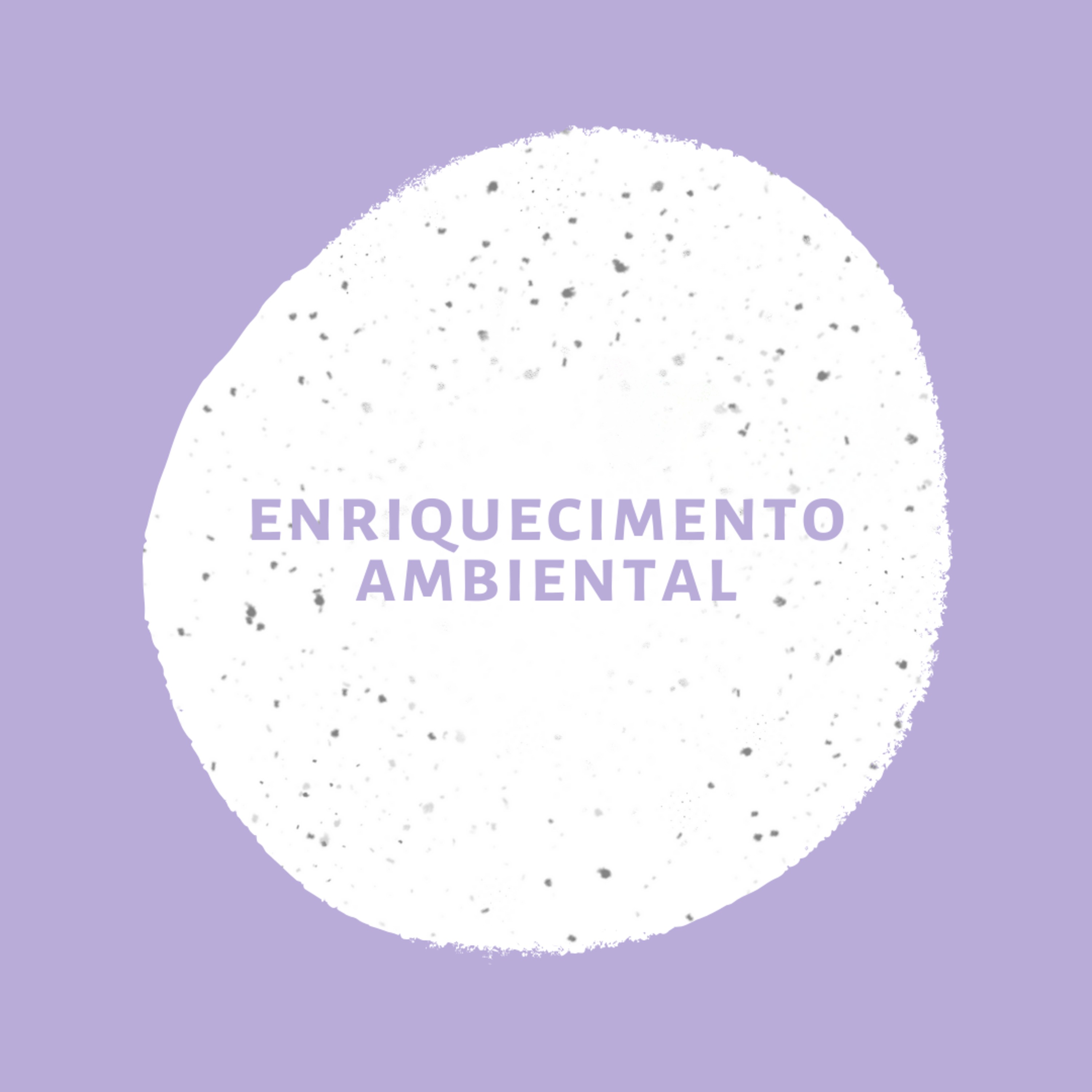 Enriquecimento Ambiental 🐱🐶