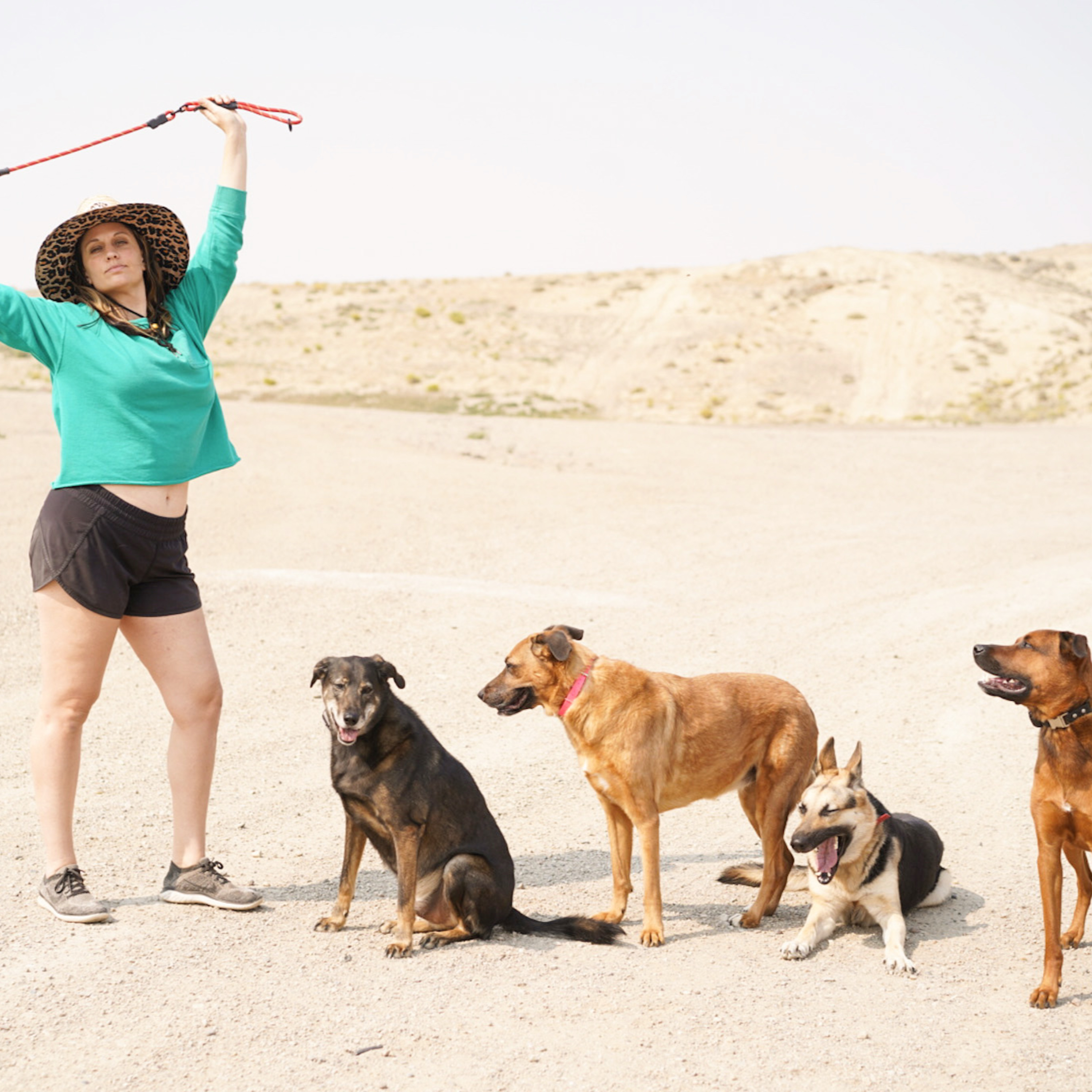 Disordered Eating and Dogs episode artwork