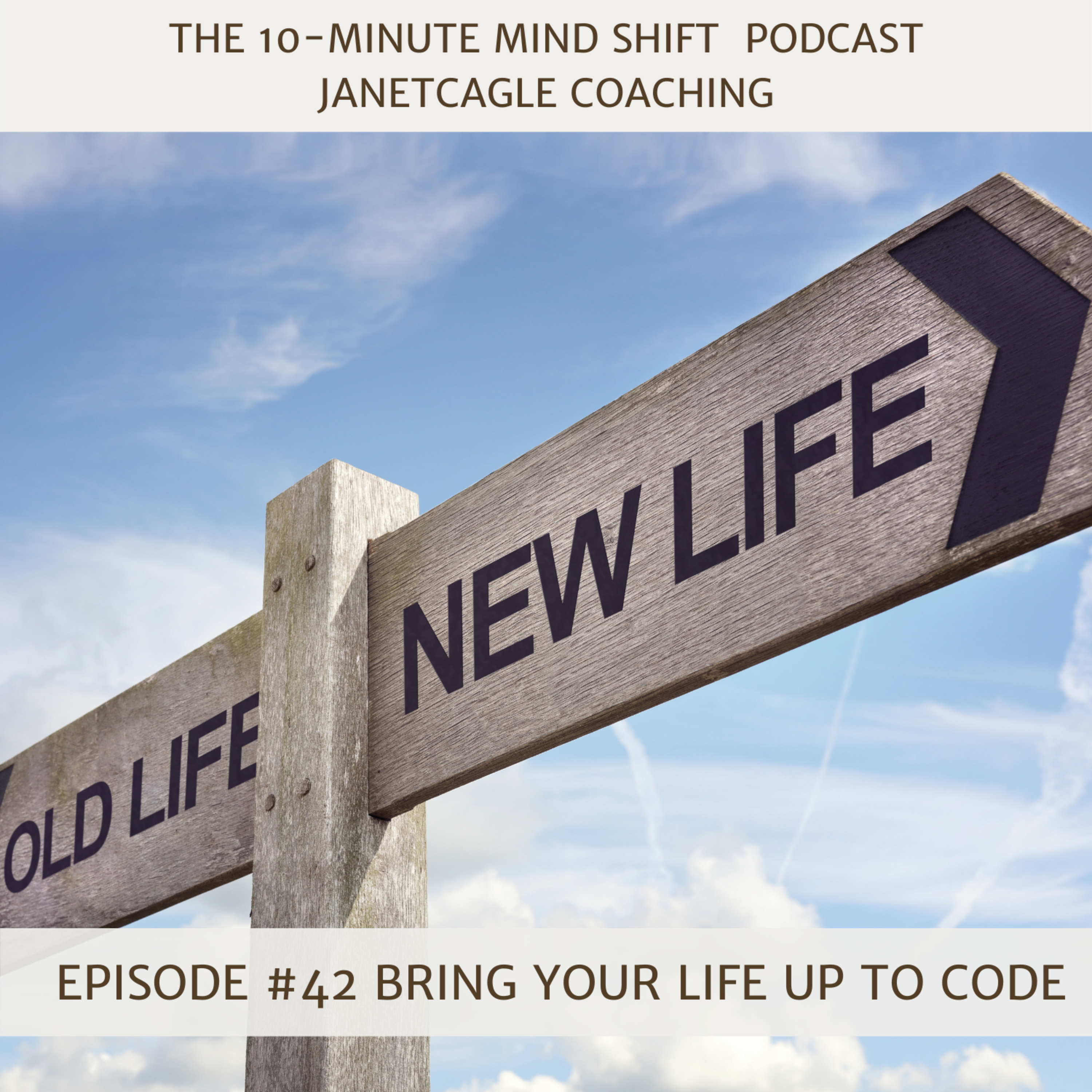 42. Bring Your Life Up To Code episode artwork