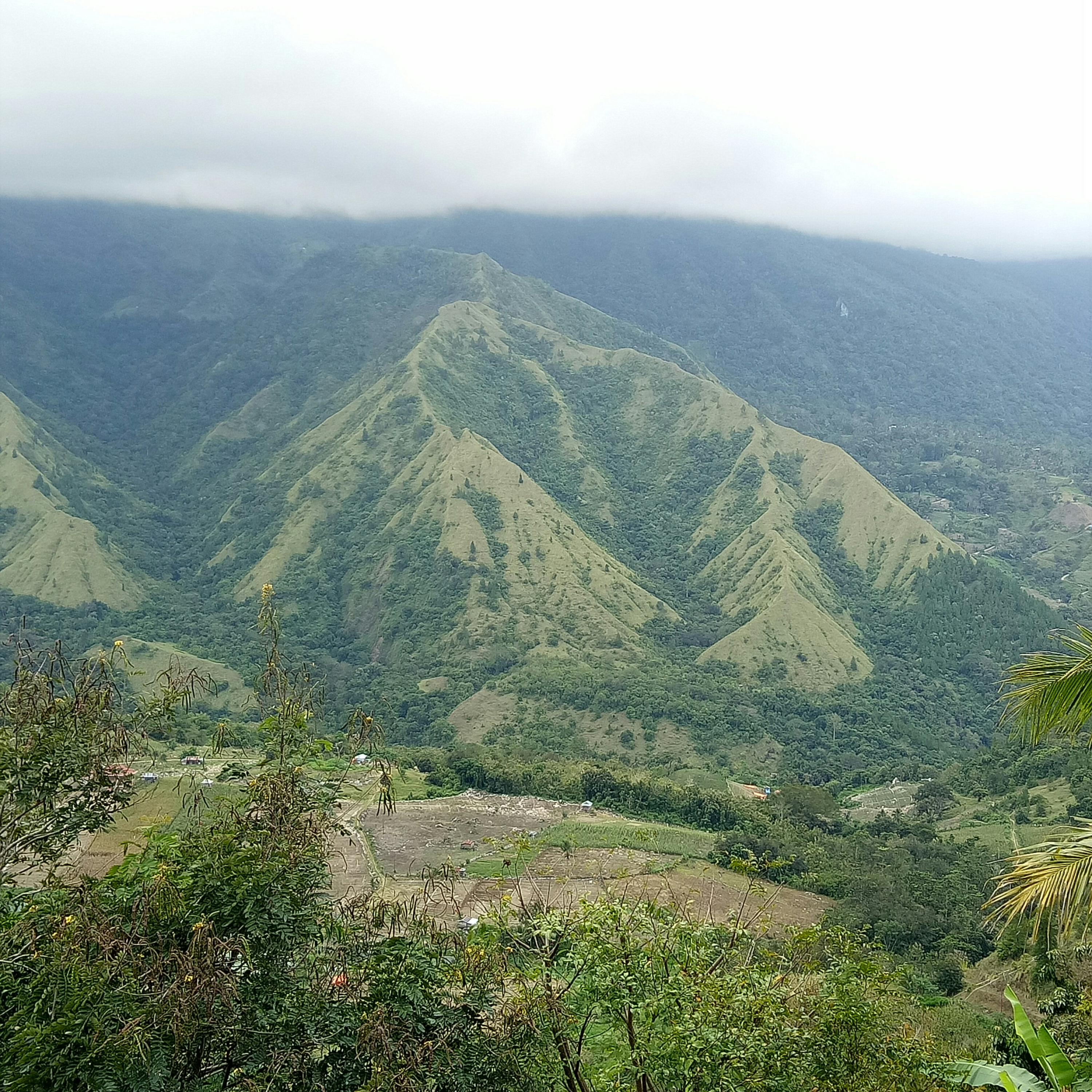 Caritana Kangbugi