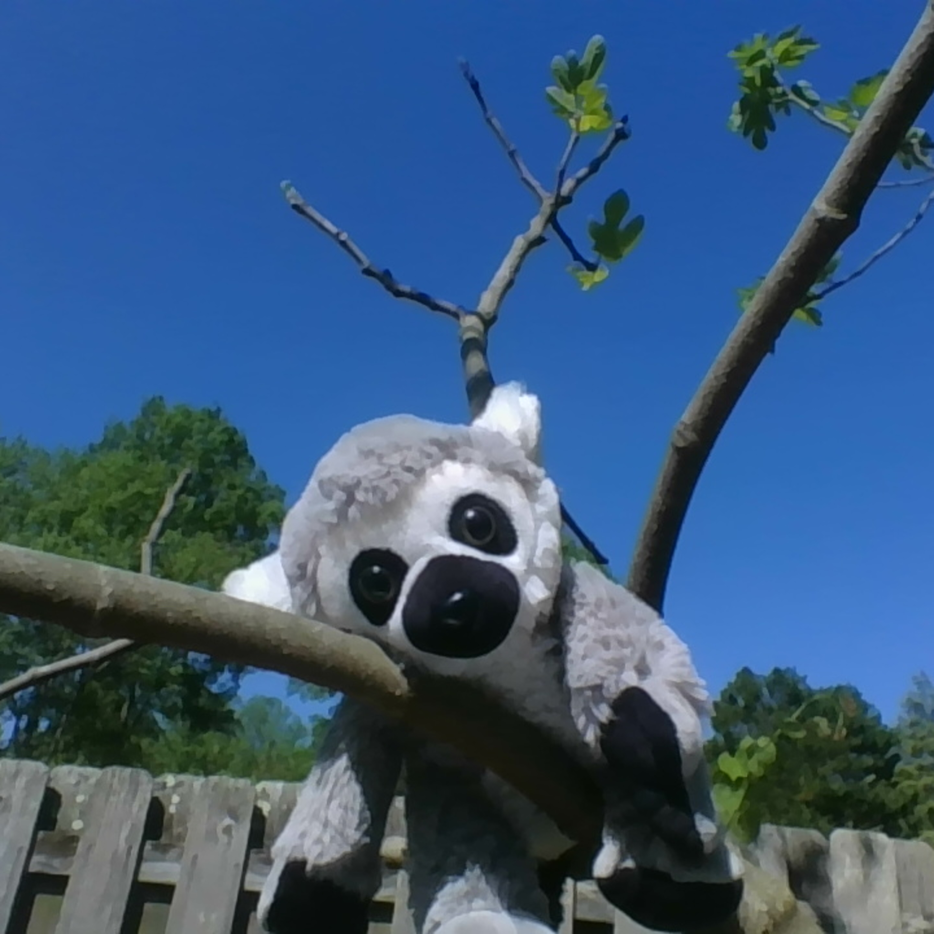 Interview with Lemie the lemur episode artwork