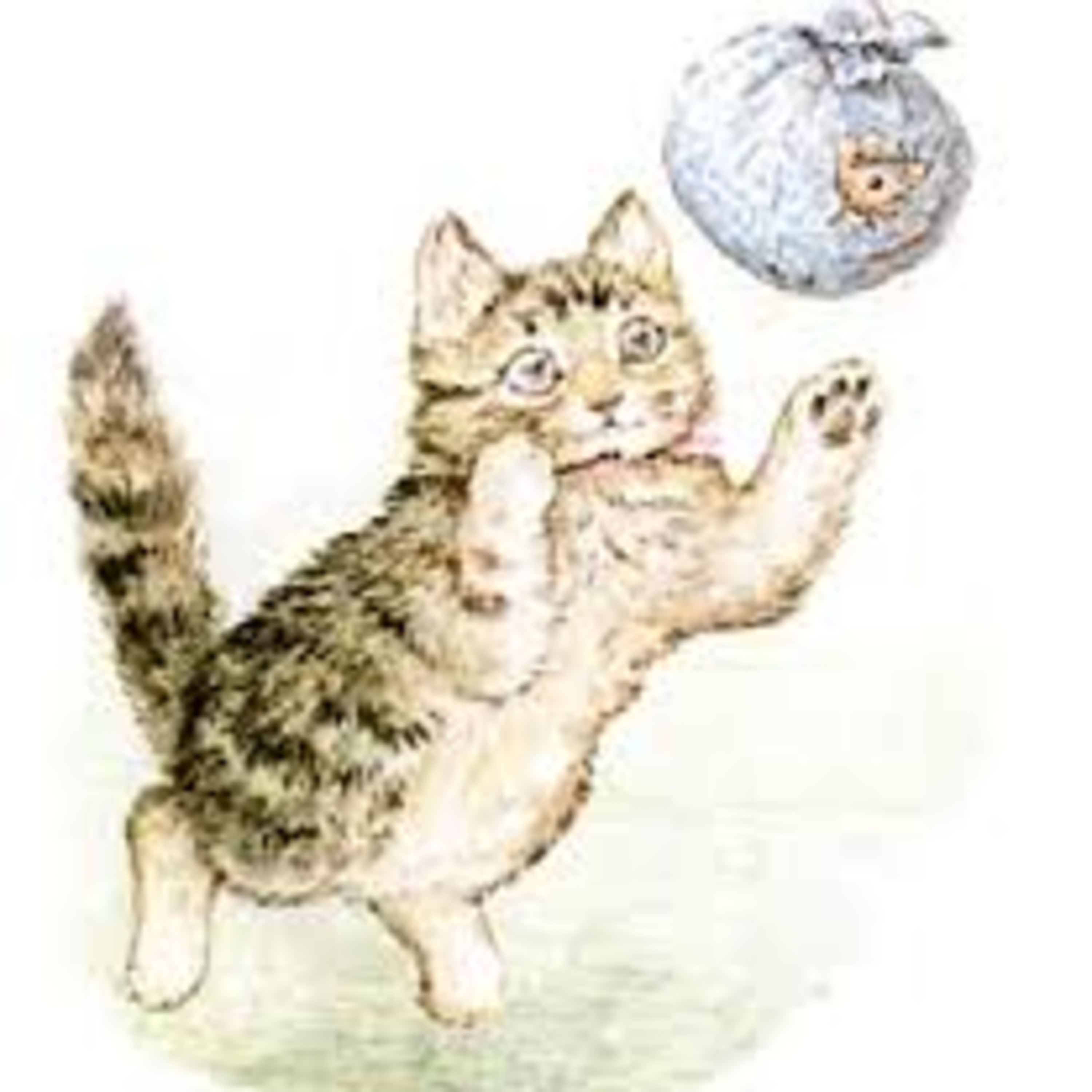 The Story of Miss Moppet