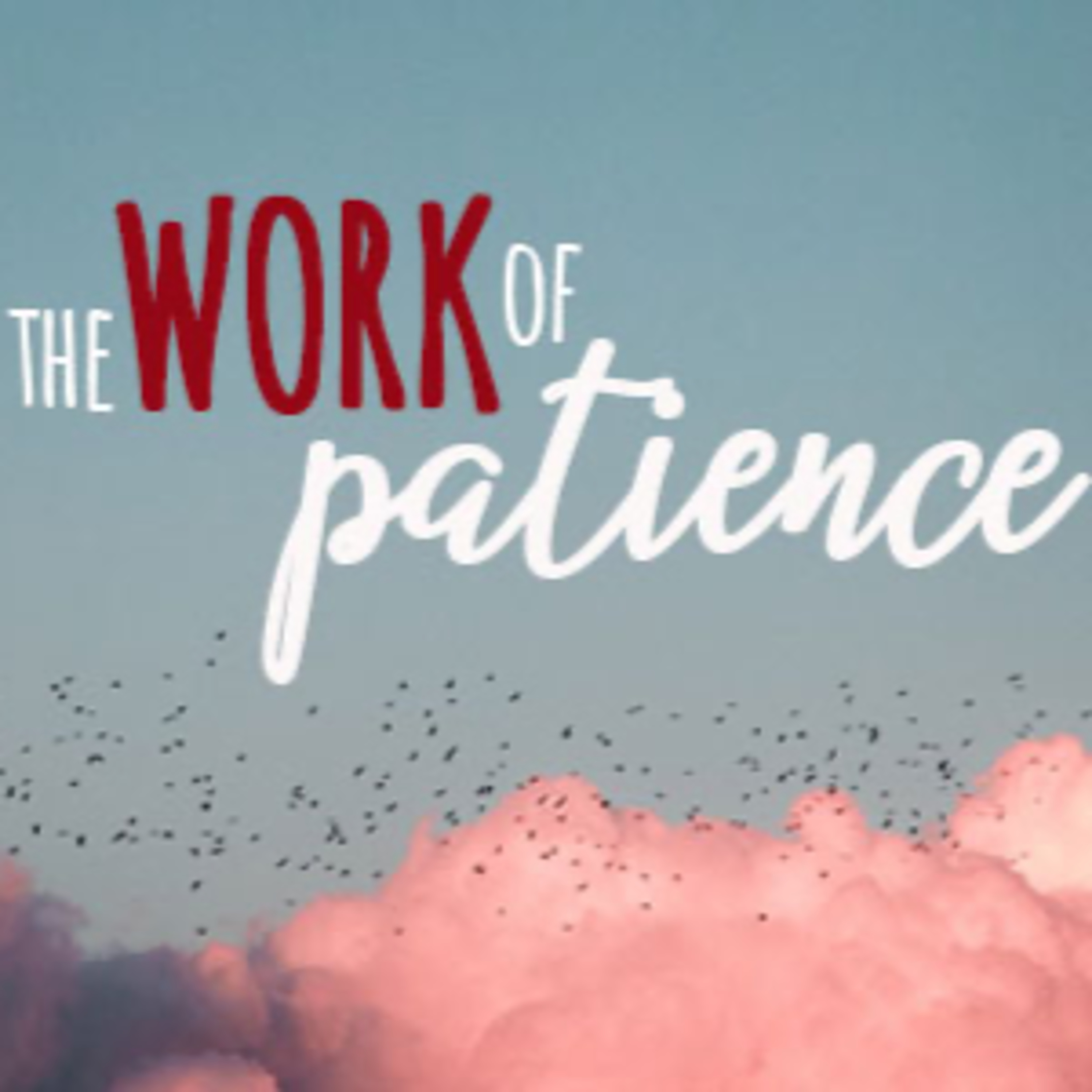 The Work of Patience episode artwork