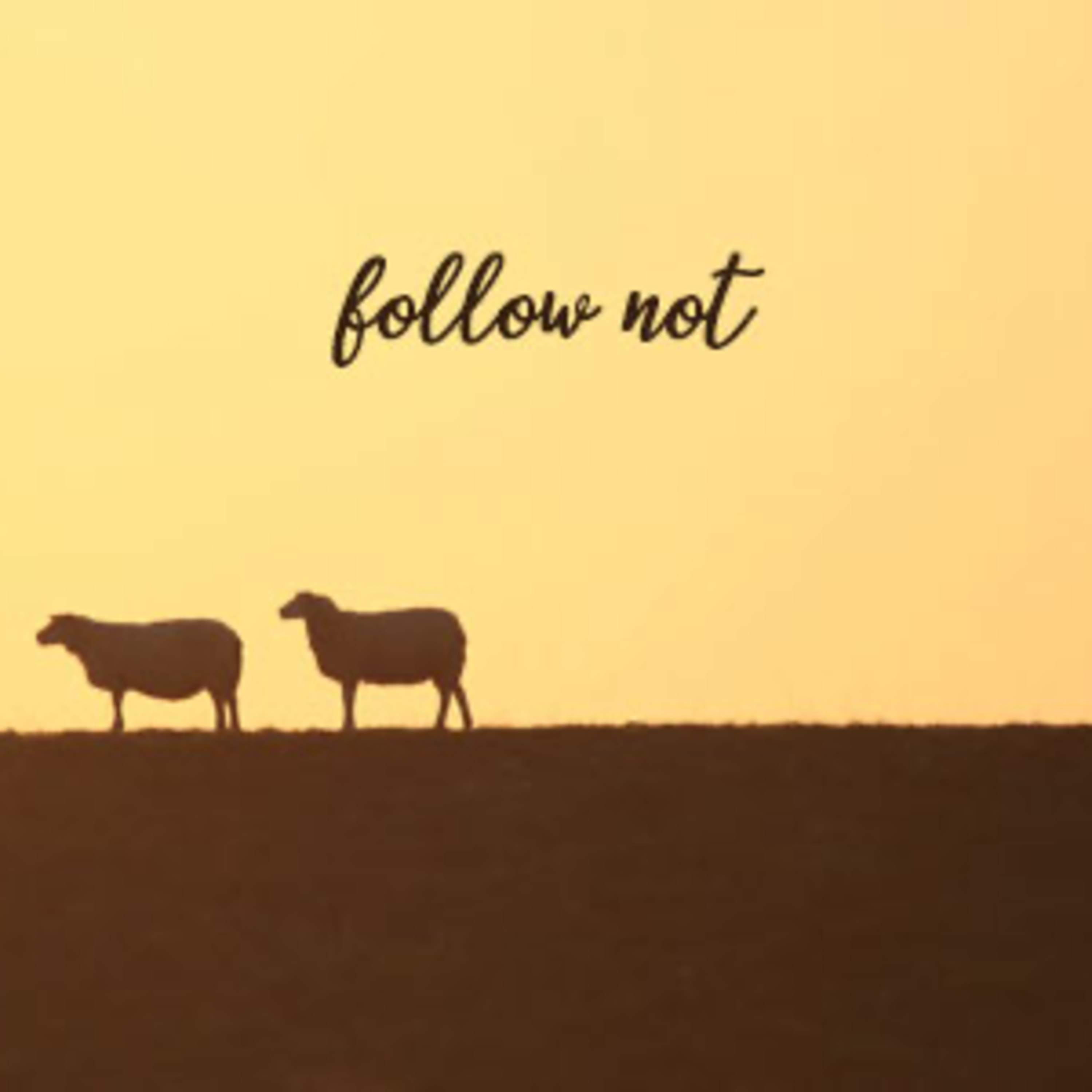 Follow Not episode artwork