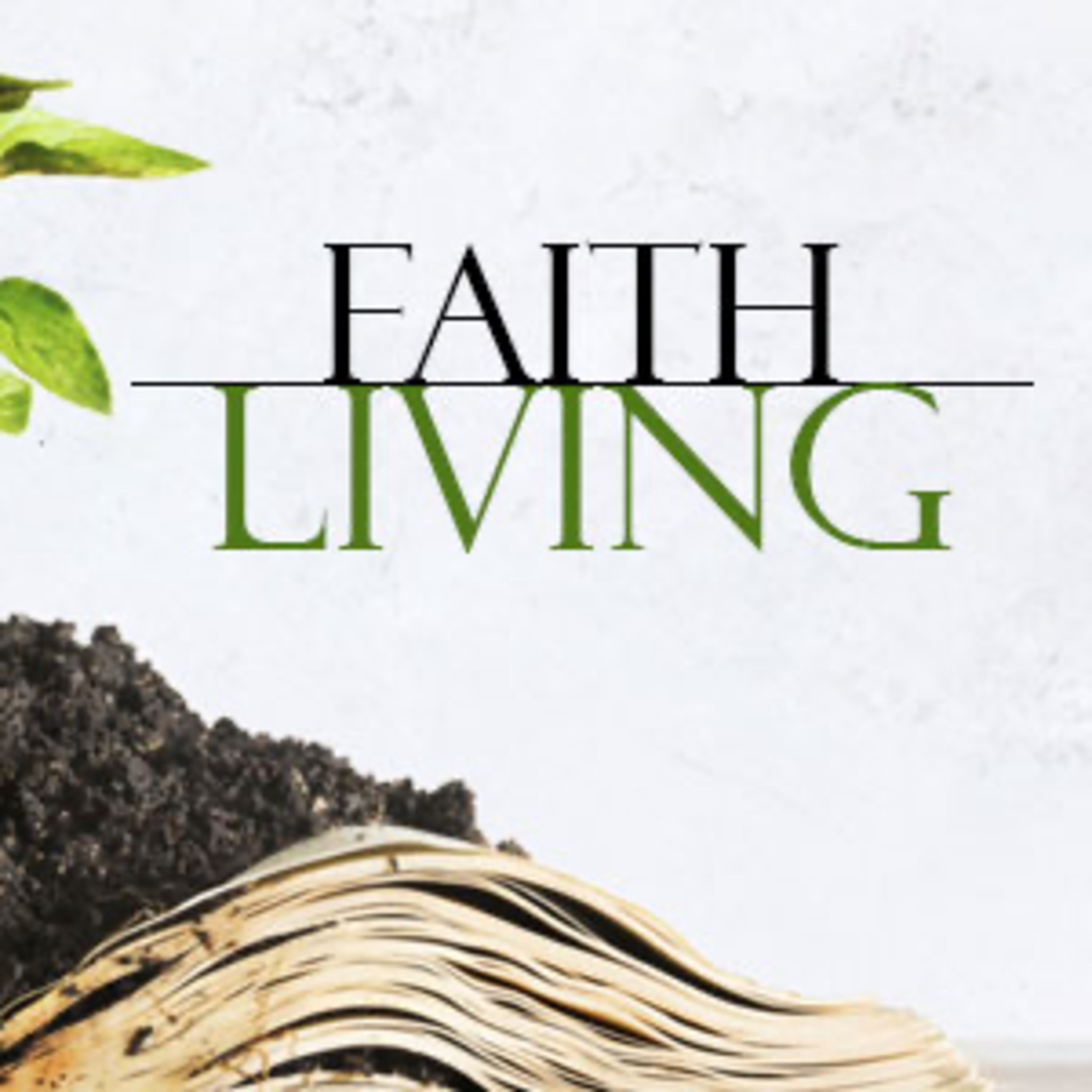 Faith Living episode artwork
