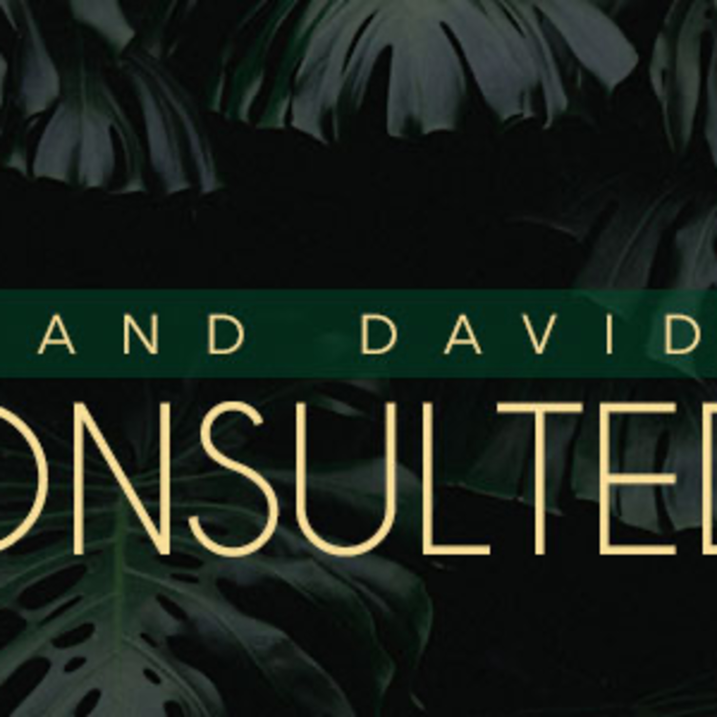 And David Consulted episode artwork