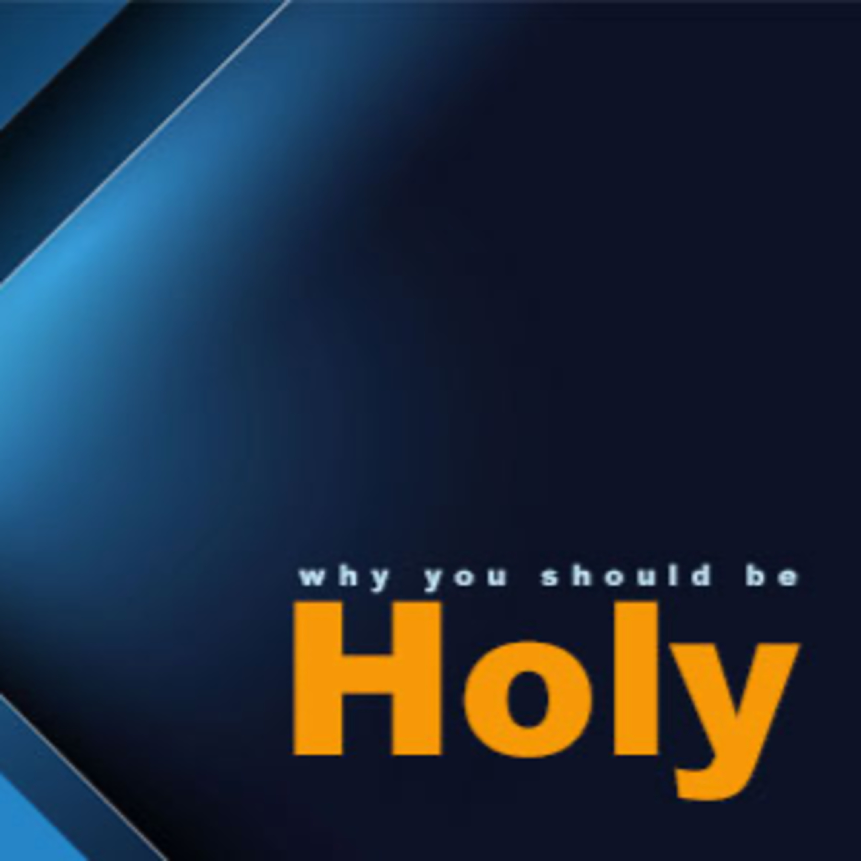 Why You Should Be Holy episode artwork