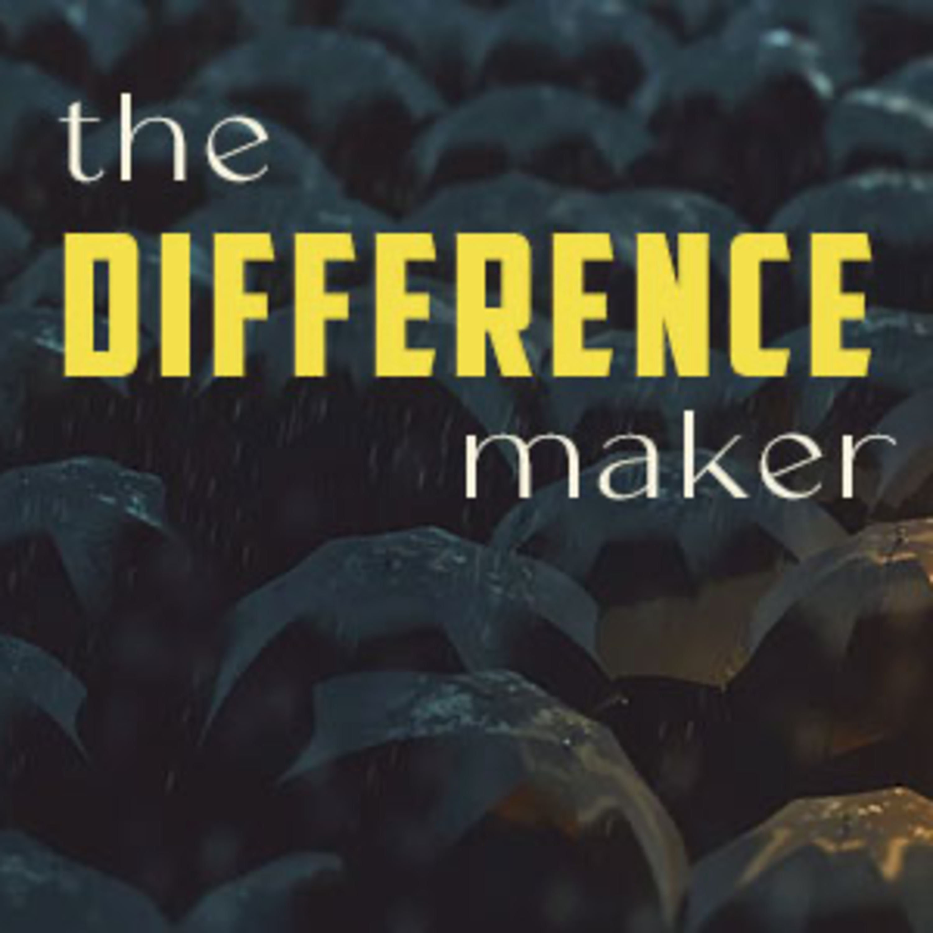 The Difference Maker episode artwork