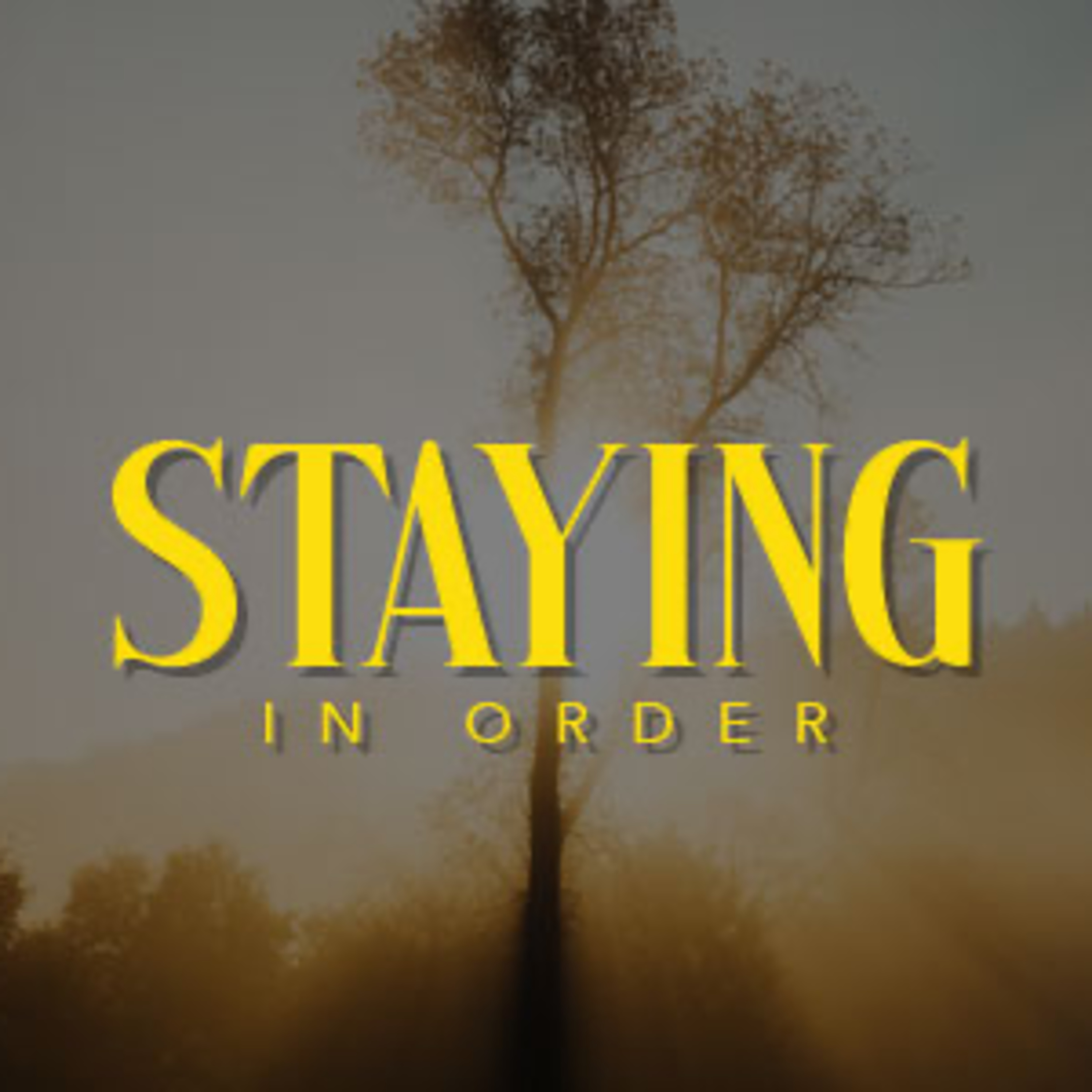 Staying in Order episode artwork