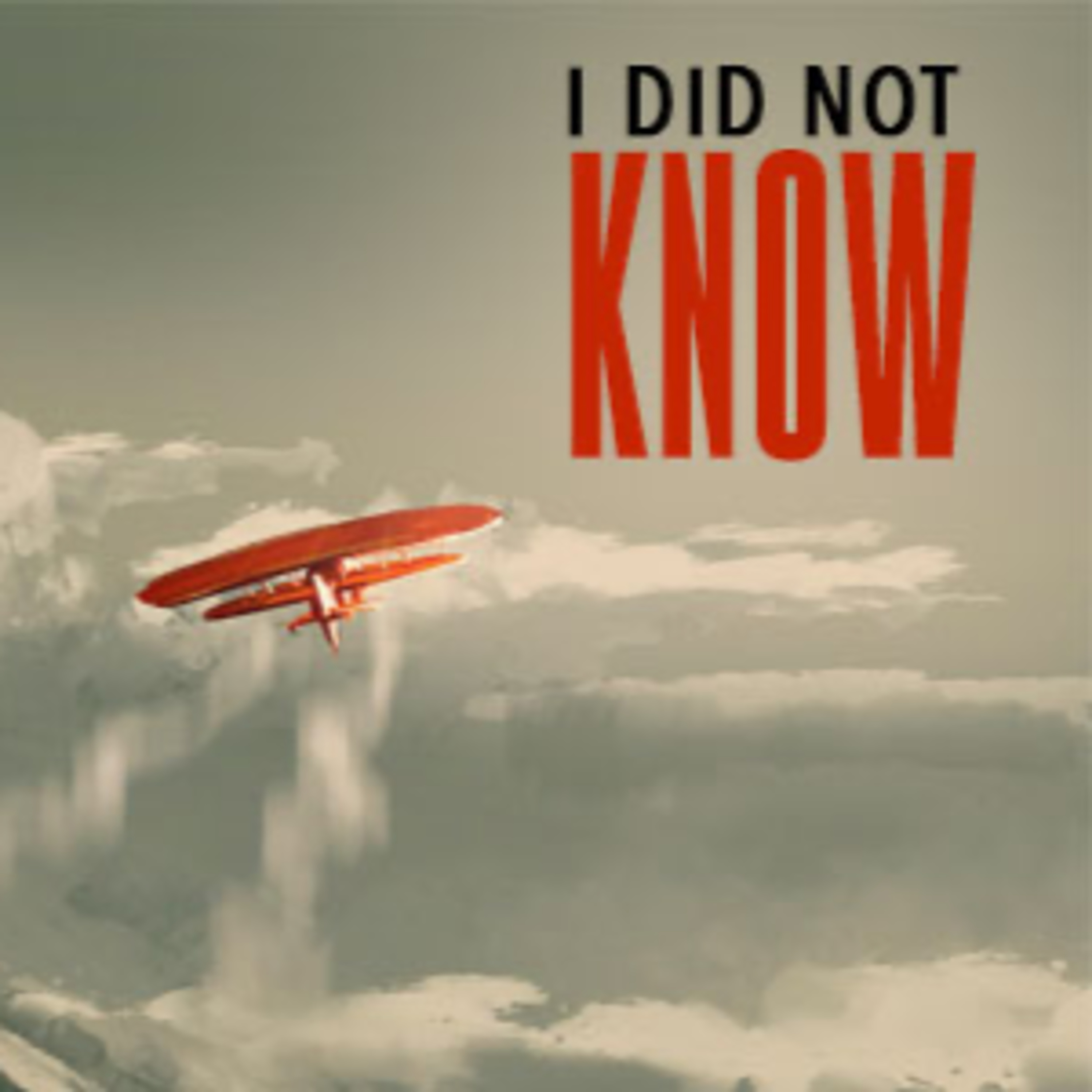 I Did Not Know episode artwork