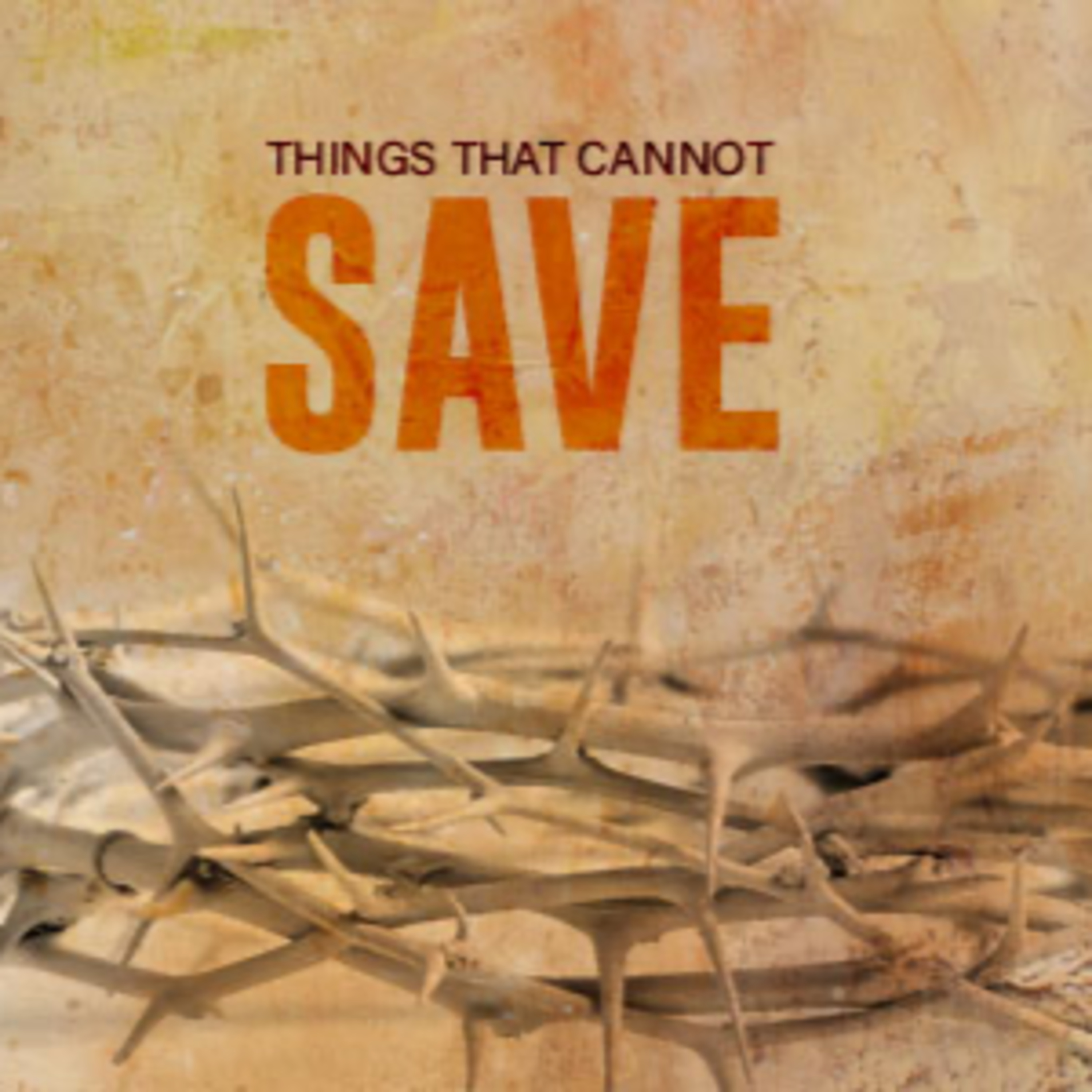 Things That Cannot Save episode artwork