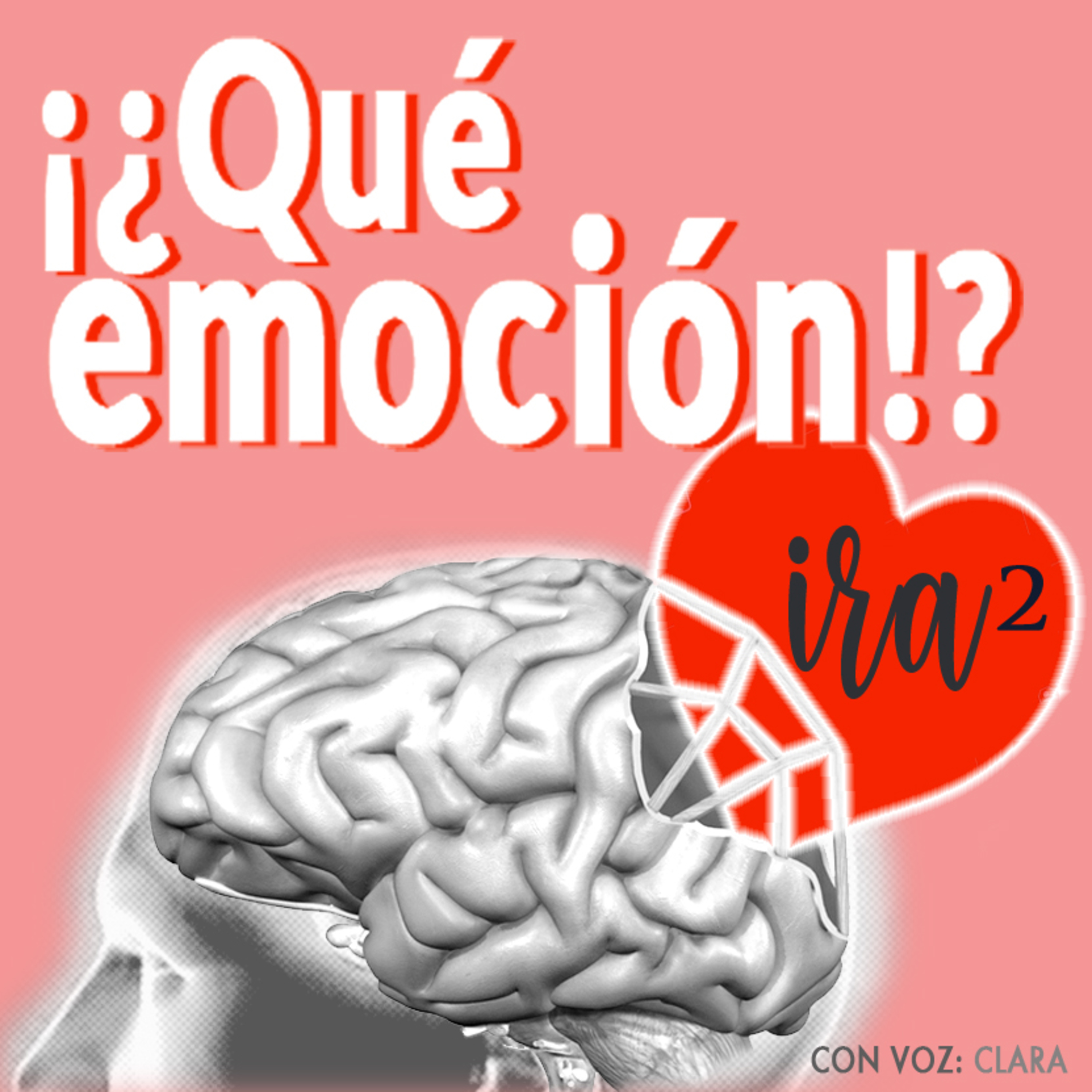 ¡¿Qué emoción!?