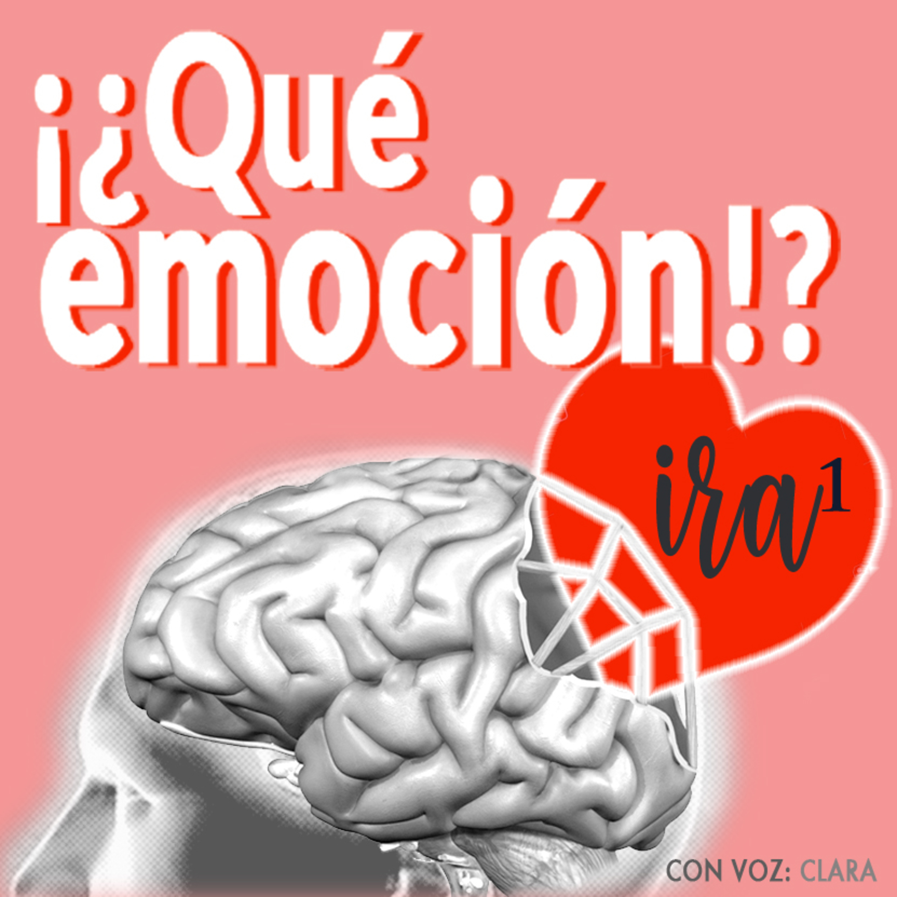 ¡¿Qué emoción!?