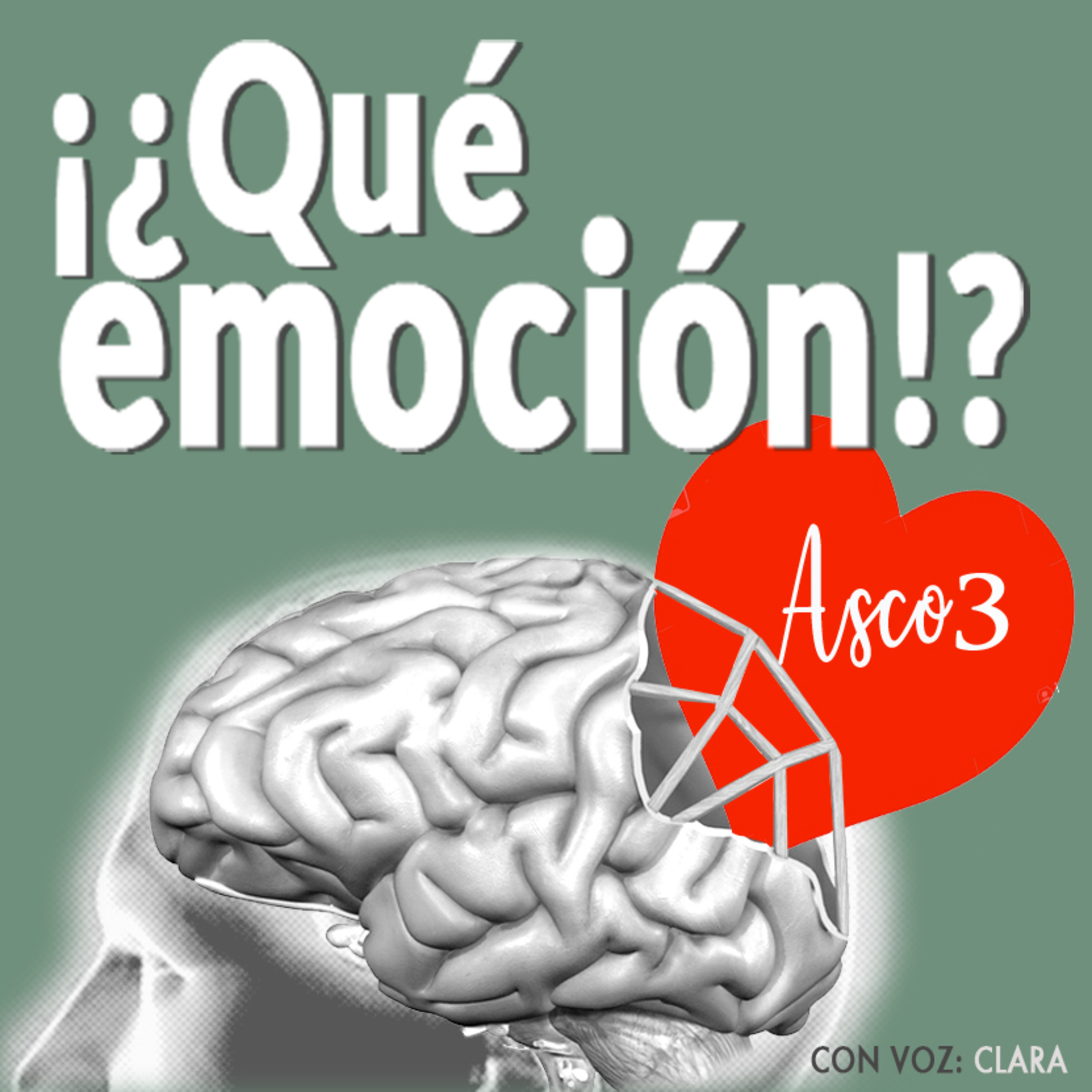 ¡¿Qué emoción!?