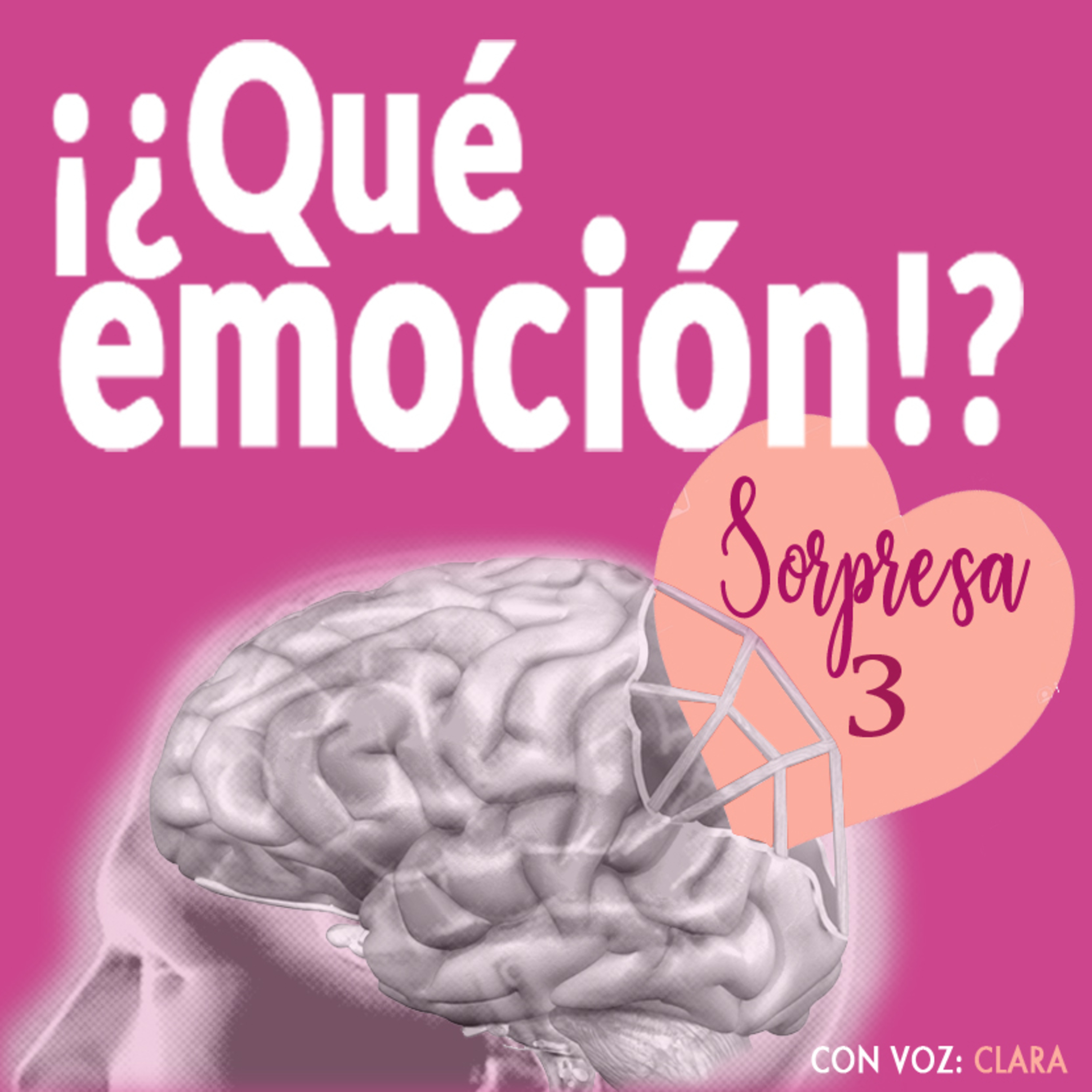 ¡¿Qué emoción!?