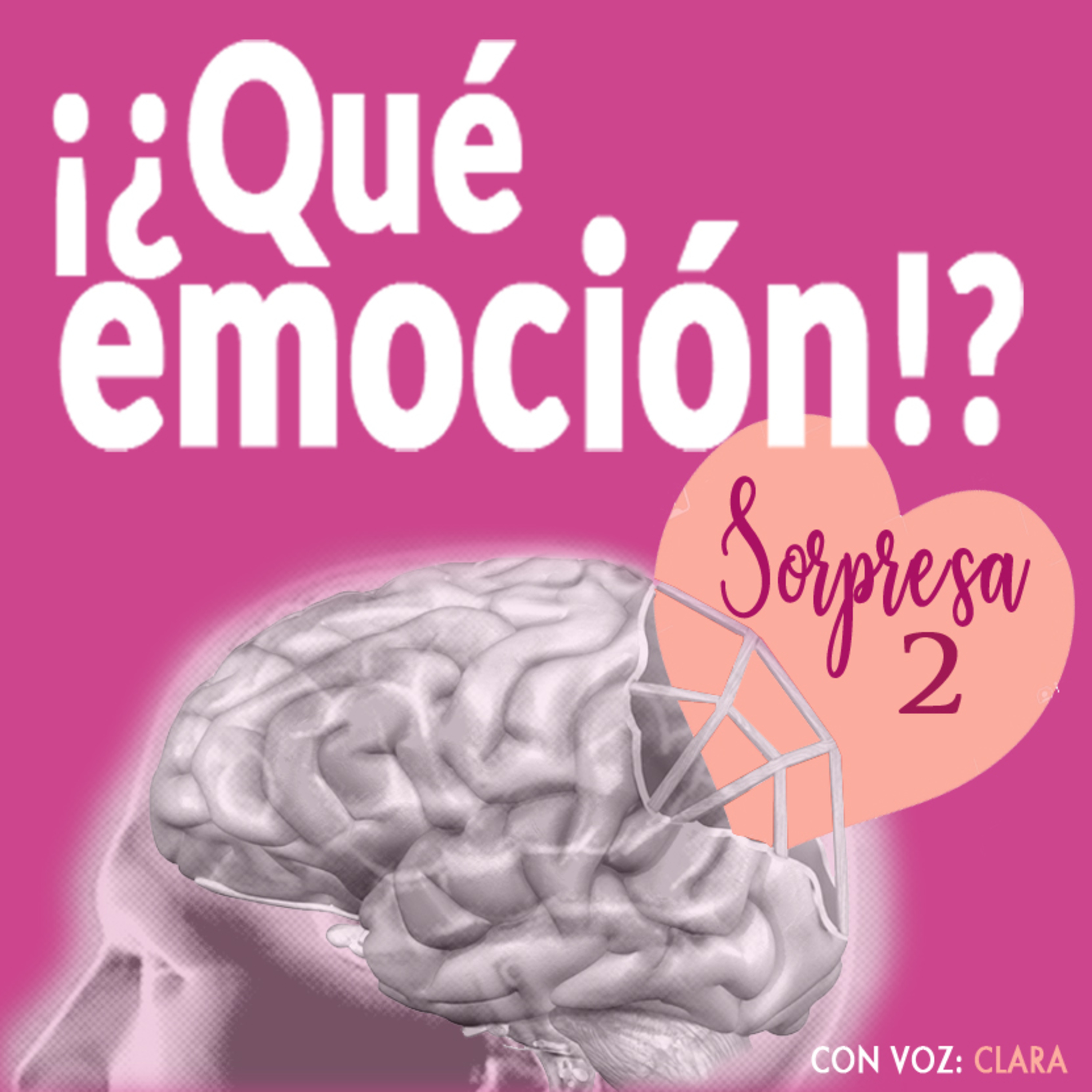 ¡¿Qué emoción!?