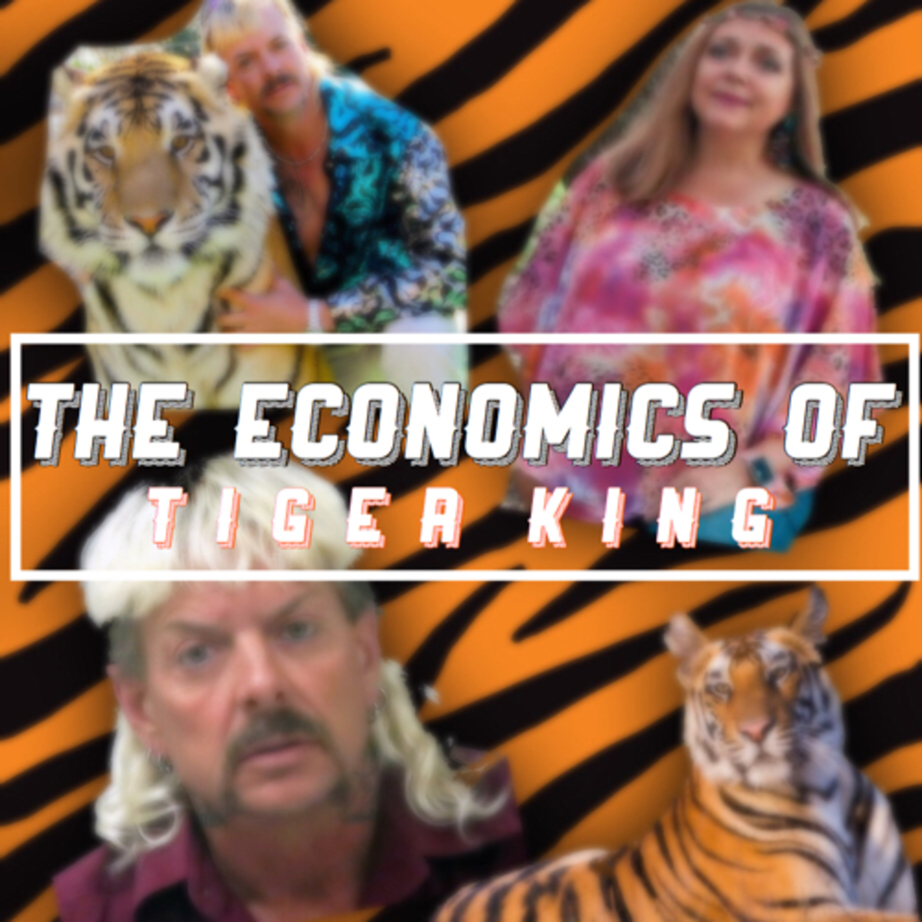 The Economics of Tiger King episode artwork